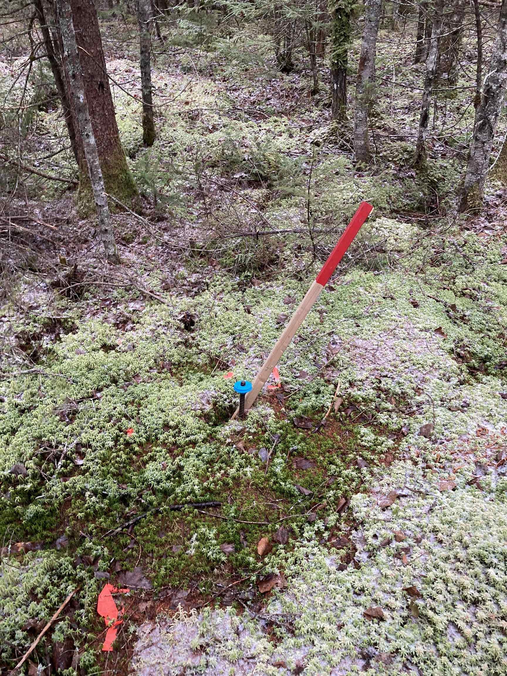 $22,000.00: Lot 2022-2 Country Harbour Road, Cross Roads Country Harbour