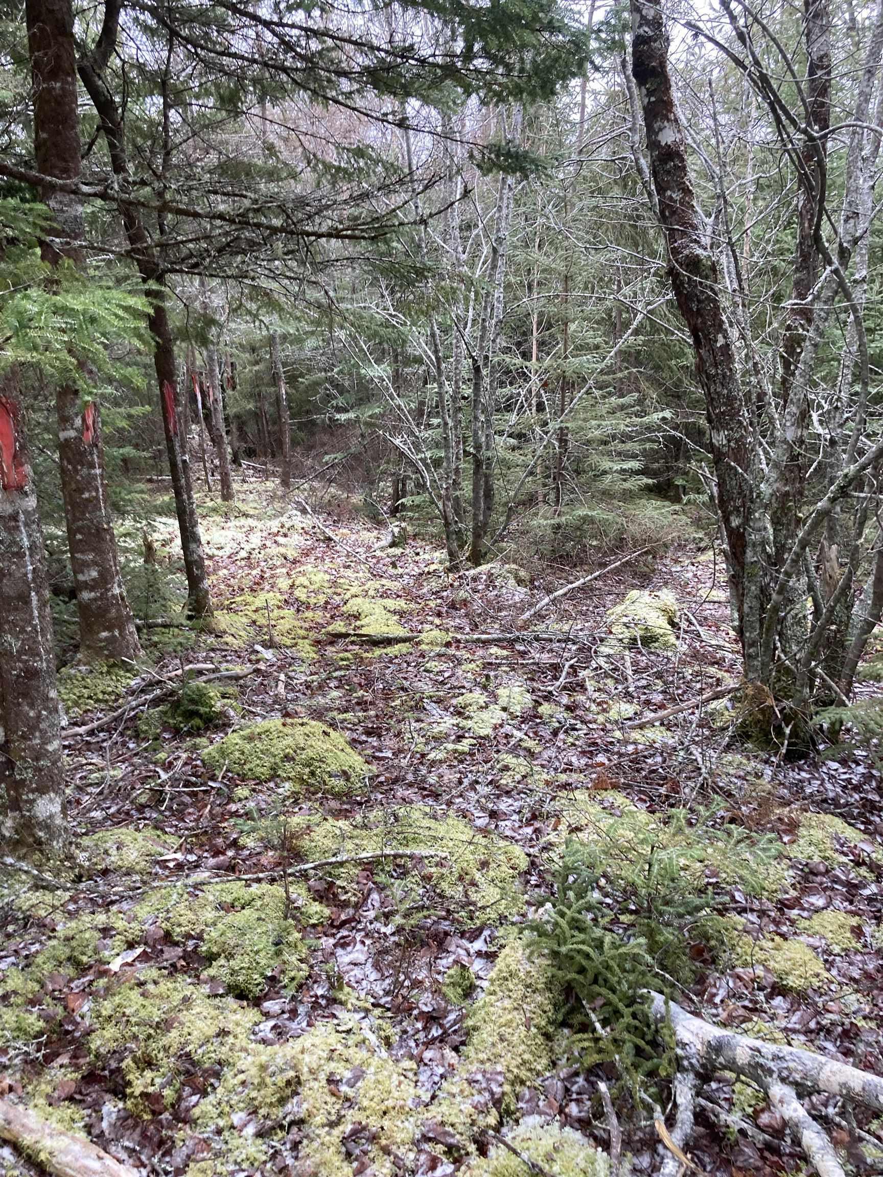 $22,000.00: Lot 2022-2 Country Harbour Road, Cross Roads Country Harbour