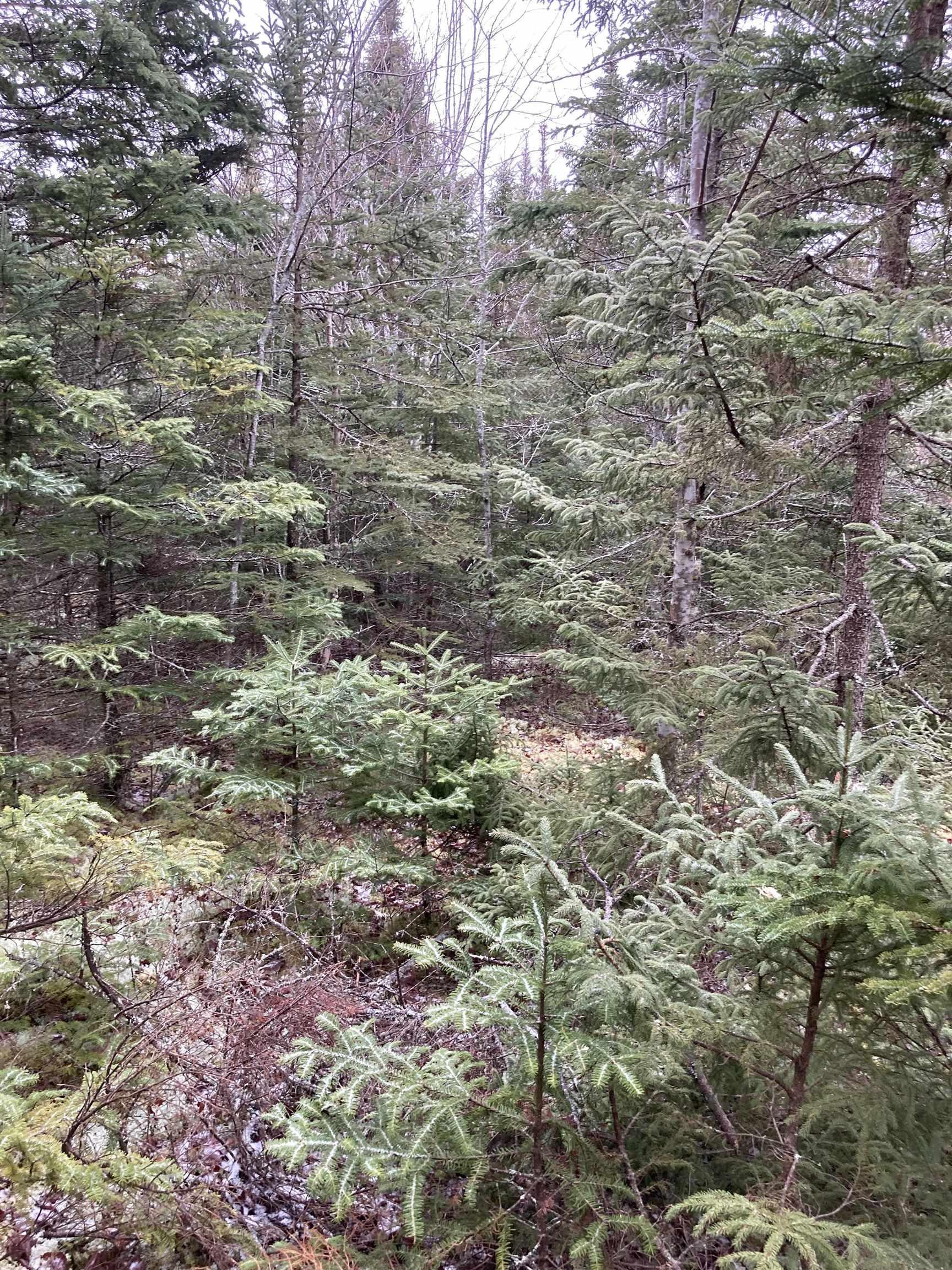 $22,000.00: Lot 2022-2 Country Harbour Road, Cross Roads Country Harbour