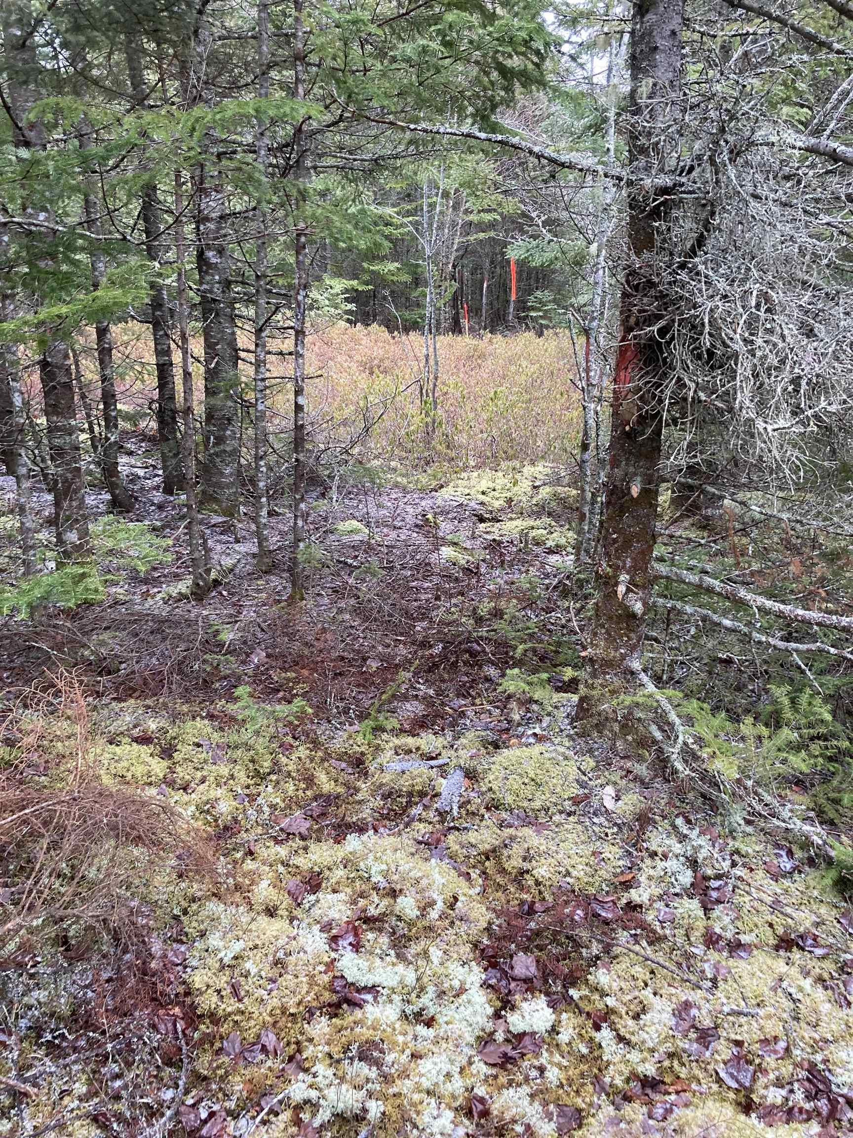 $22,000.00: Lot 2022-2 Country Harbour Road, Cross Roads Country Harbour