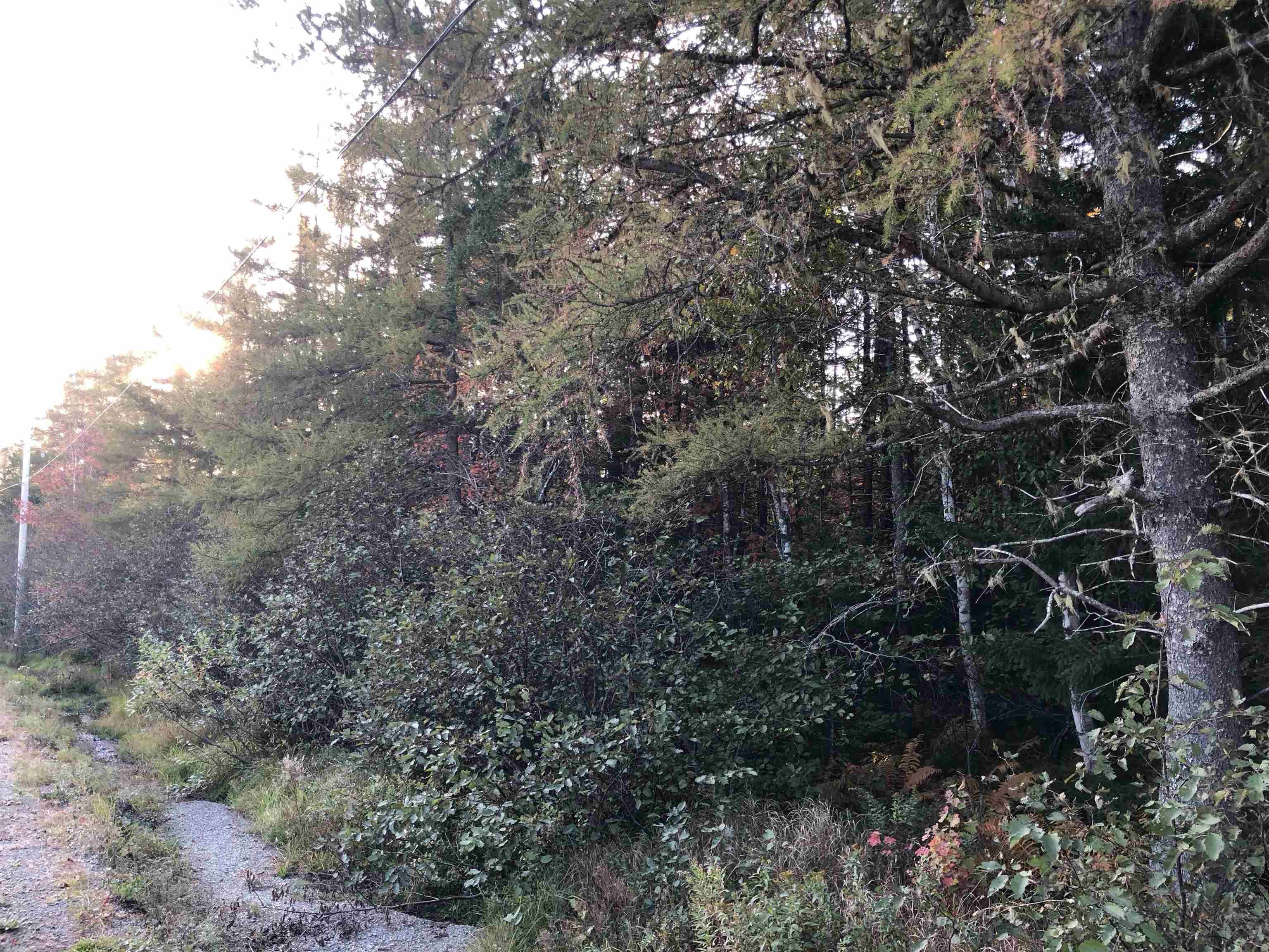 $22,000.00: Lot 2022-2 Country Harbour Road, Cross Roads Country Harbour