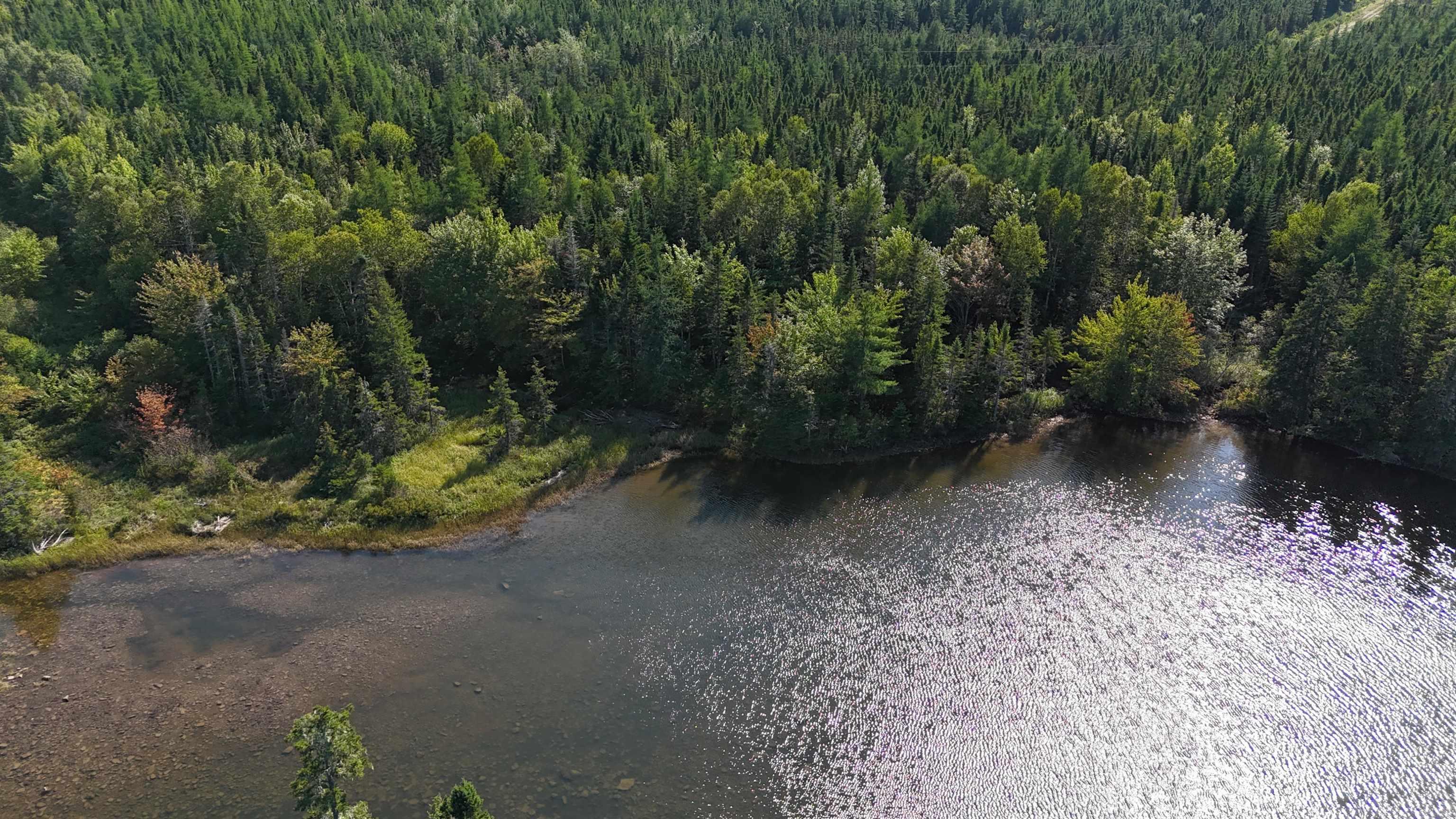 $89,000.00: Andreas Popp Lane, Evanston