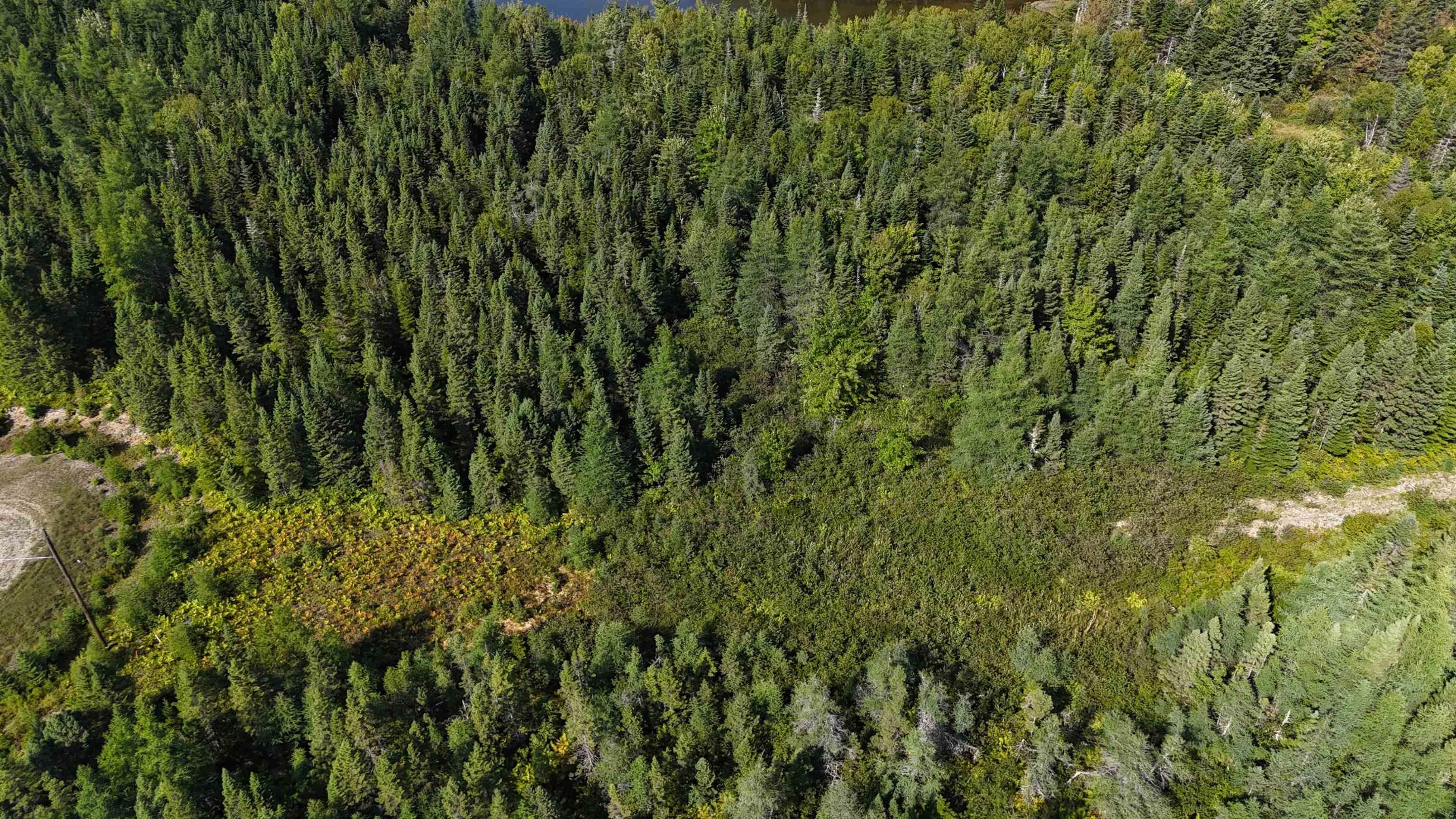 $89,000.00: Andreas Popp Lane, Evanston