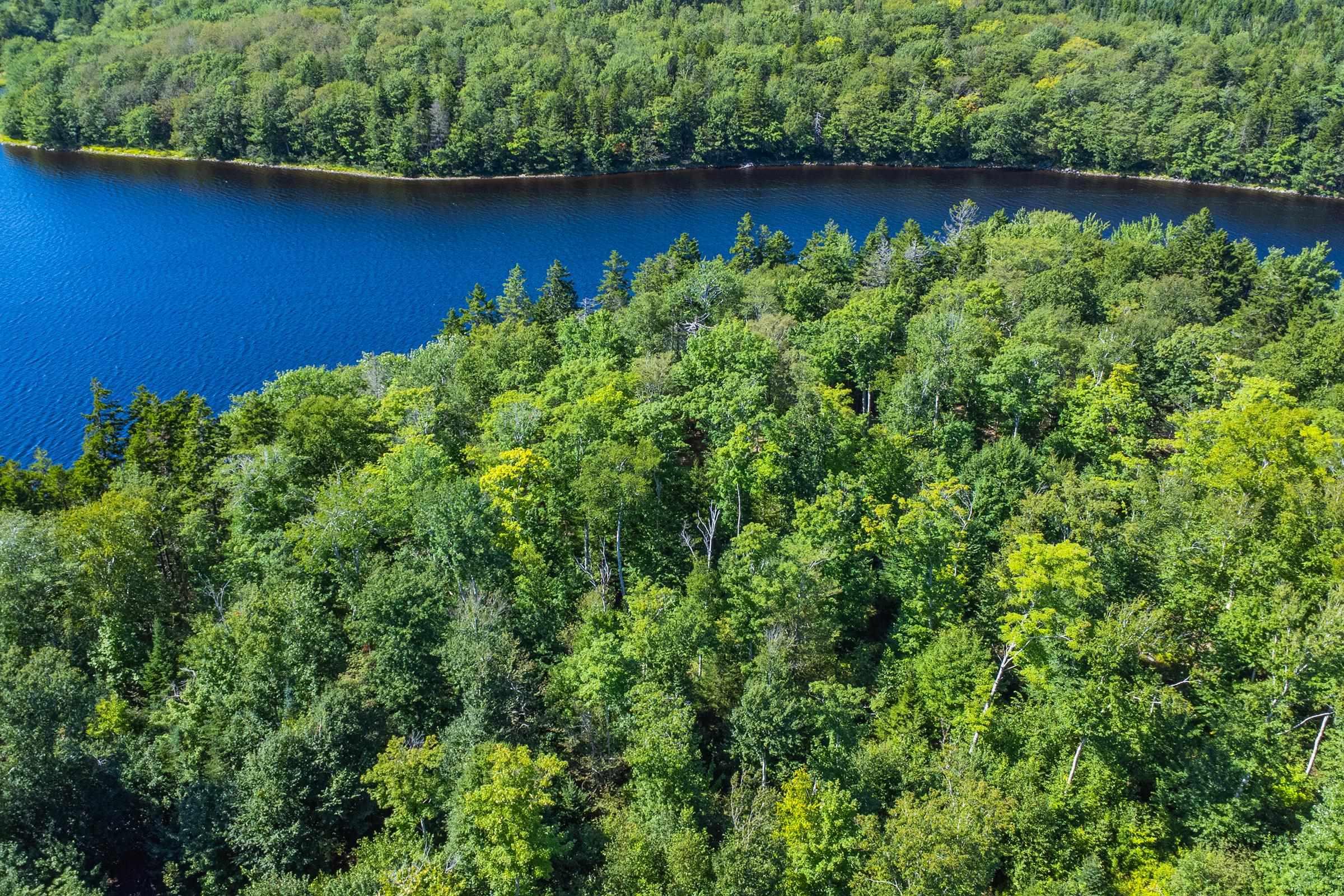 $75,000.00: Lot 1 Lake Fanning Road, Carleton