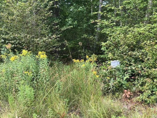 $65,000.00: Lot 2 Lake Fanning Road, Carleton