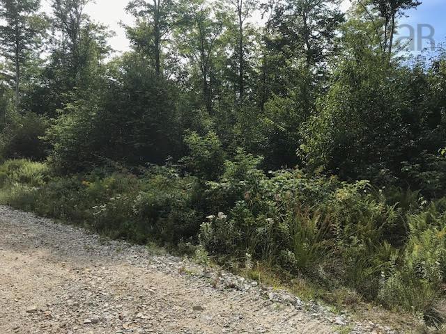 $65,000.00: Lot 2 Lake Fanning Road, Carleton