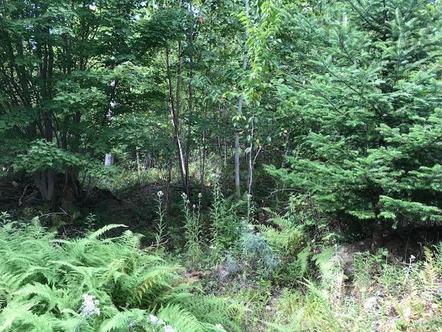 $65,000.00: Lot 2 Lake Fanning Road, Carleton