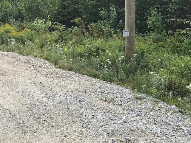 $65,000.00: Lot 2 Lake Fanning Road, Carleton