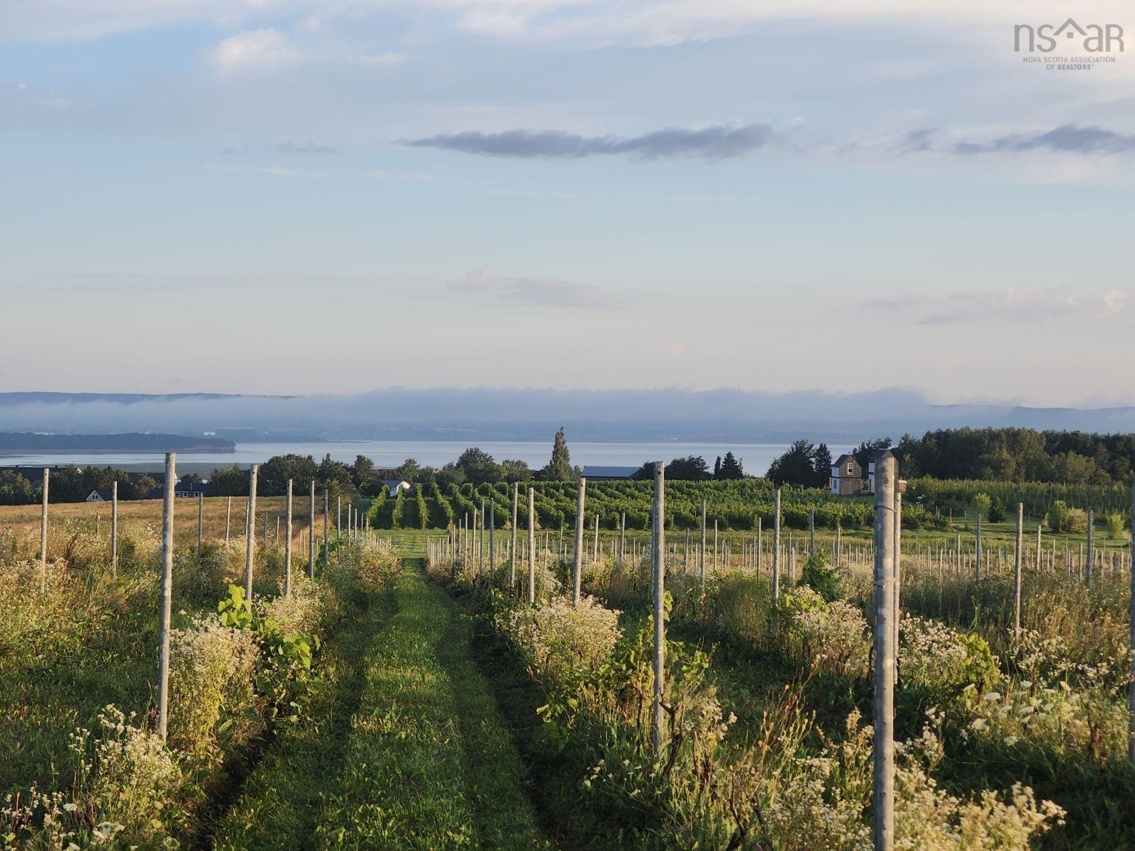 $496,000.00: Lot 2024 Maple Ridge Road, Lower Wolfville