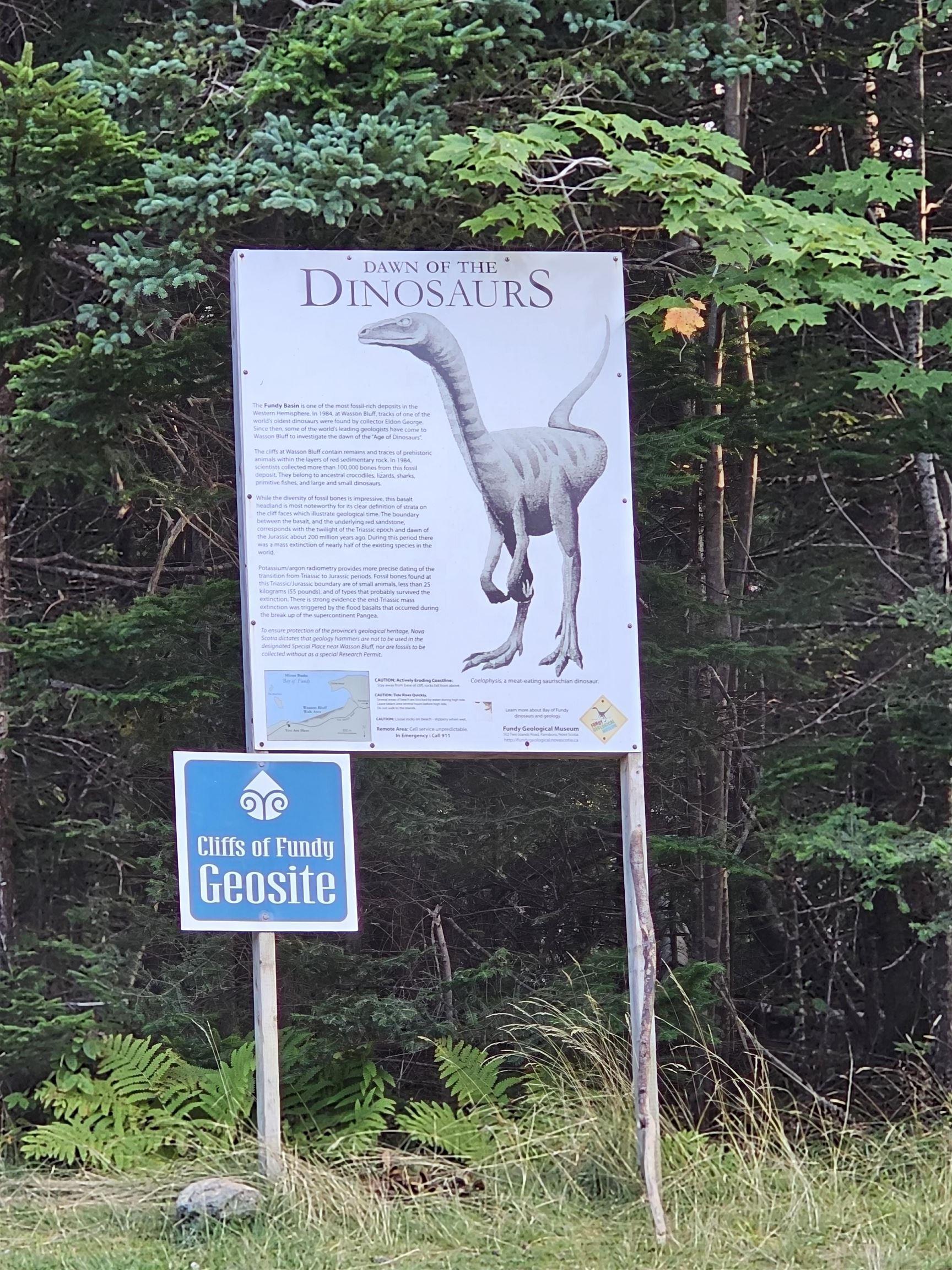 $57,500.00: Lot 52 Fundy Lane, Two Islands