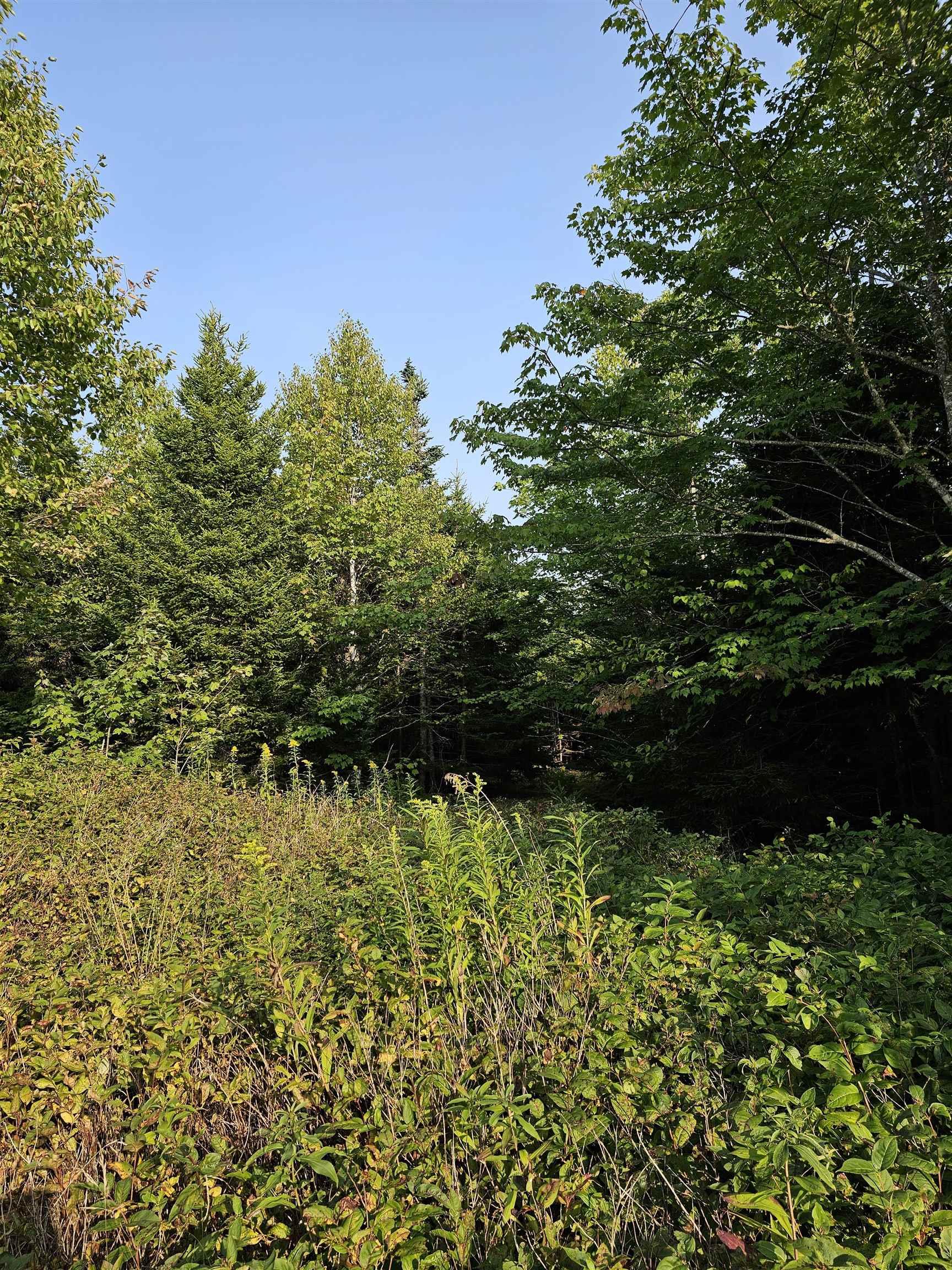 $57,500.00: Lot 52 Fundy Lane, Two Islands