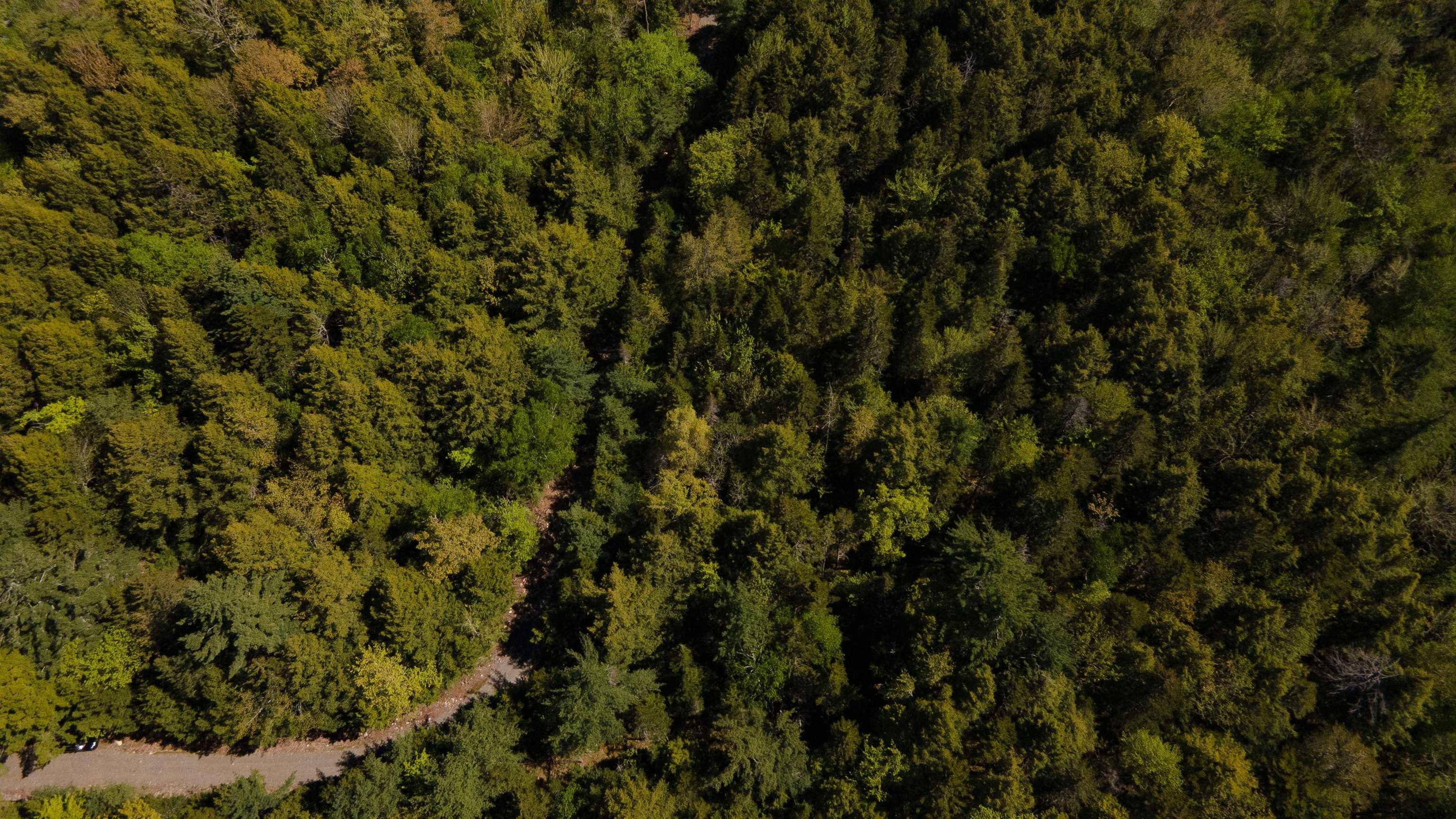 $24,900.00: 44 Hunts Camp Lane, Labelle