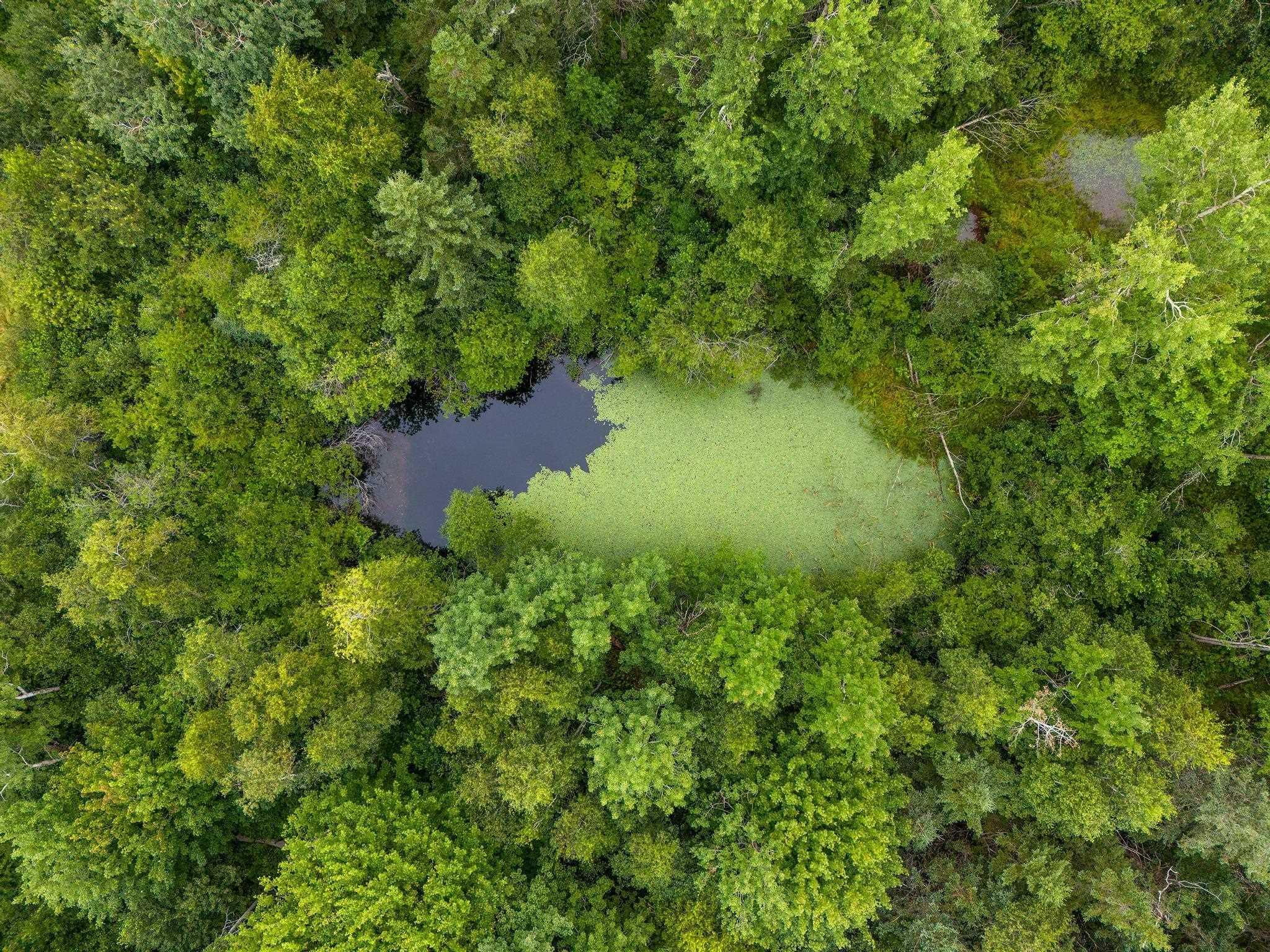 $499,900.00: 239 Brinton Road, Port Lorne