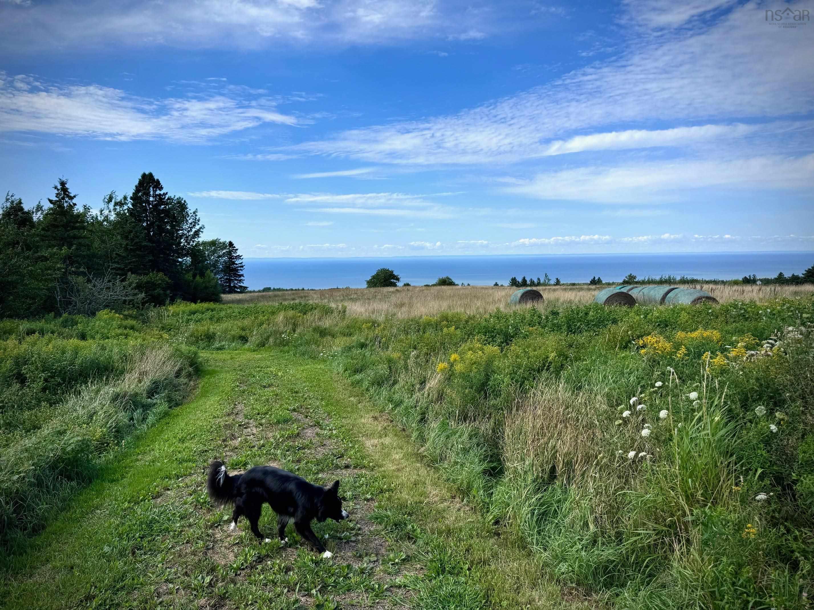 $499,900.00: 239 Brinton Road, Port Lorne