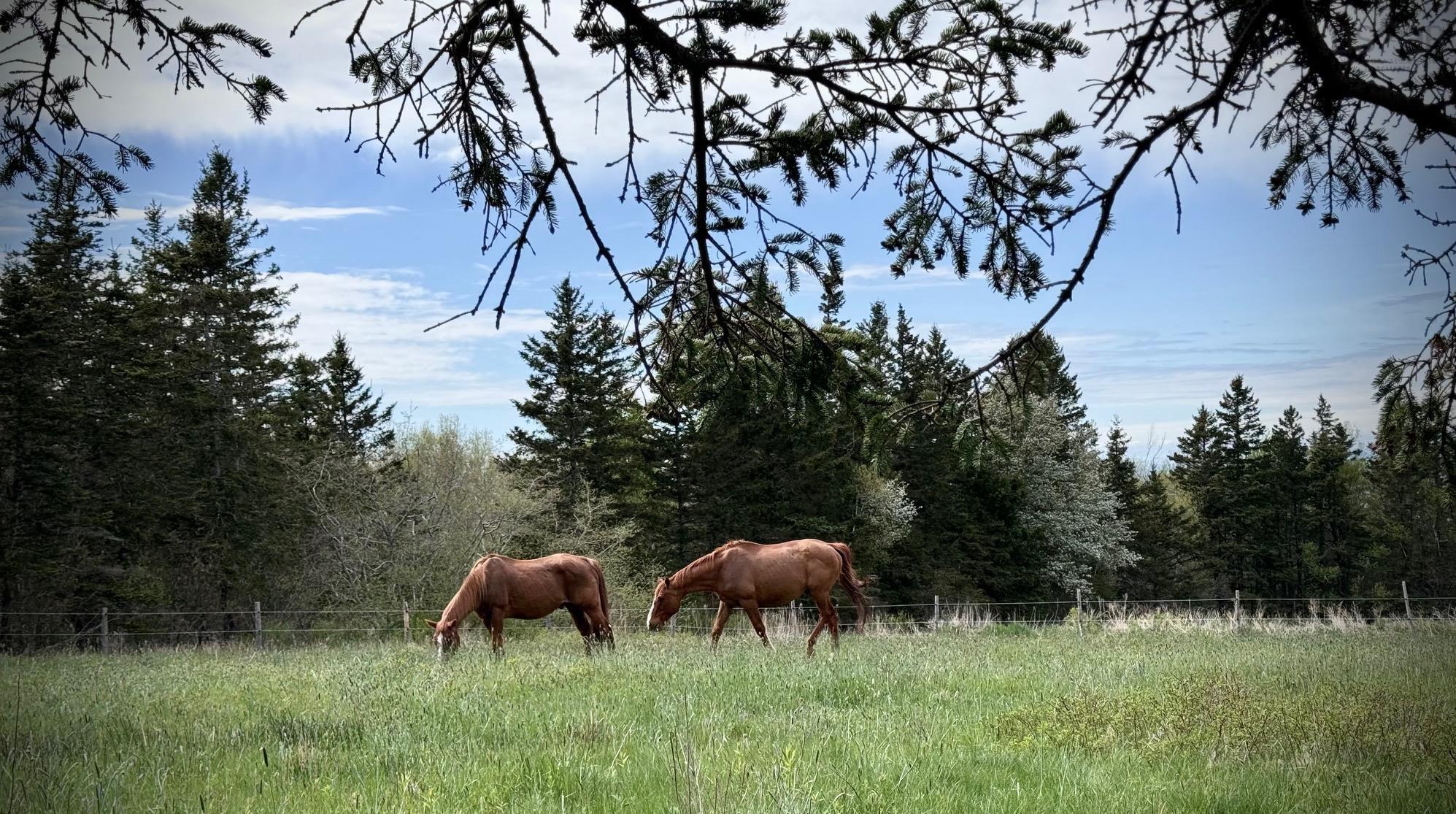 $499,900.00: 239 Brinton Road, Port Lorne