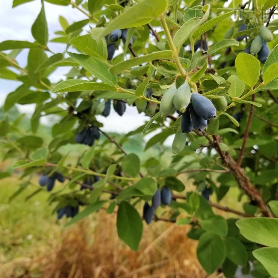 $1,300,000.00: 48 Elderbank Back Road, Elderbank