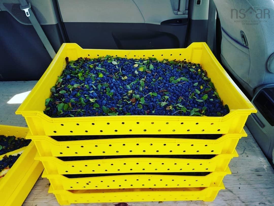 $1,300,000.00: 48 Elderbank Back Road, Elderbank