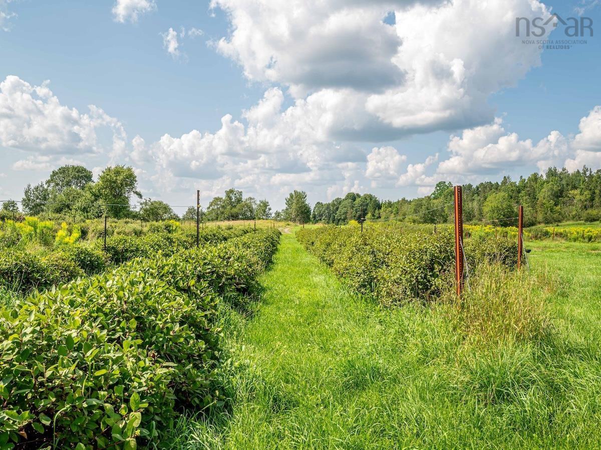 $1,300,000.00: 48 Elderbank Back Road, Elderbank