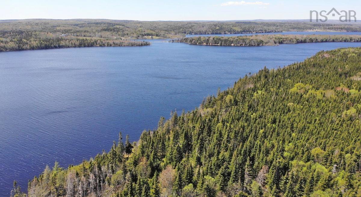 $690,000.00: 83.9 Acres Grand Mira South Road, Grand Mira South