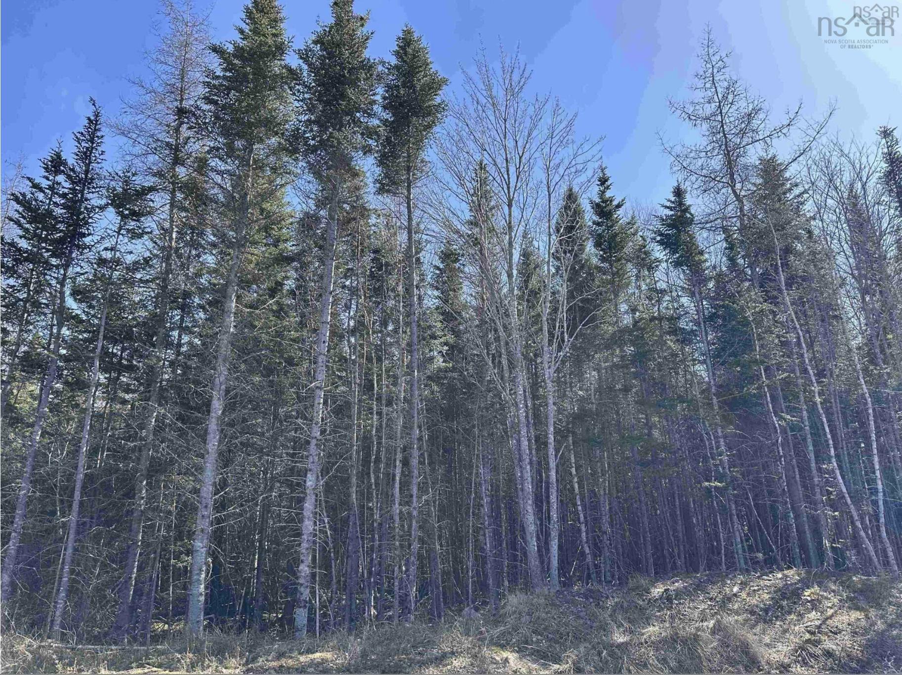 $87,500.00: Lot 16 - Lower River Road, Grantville