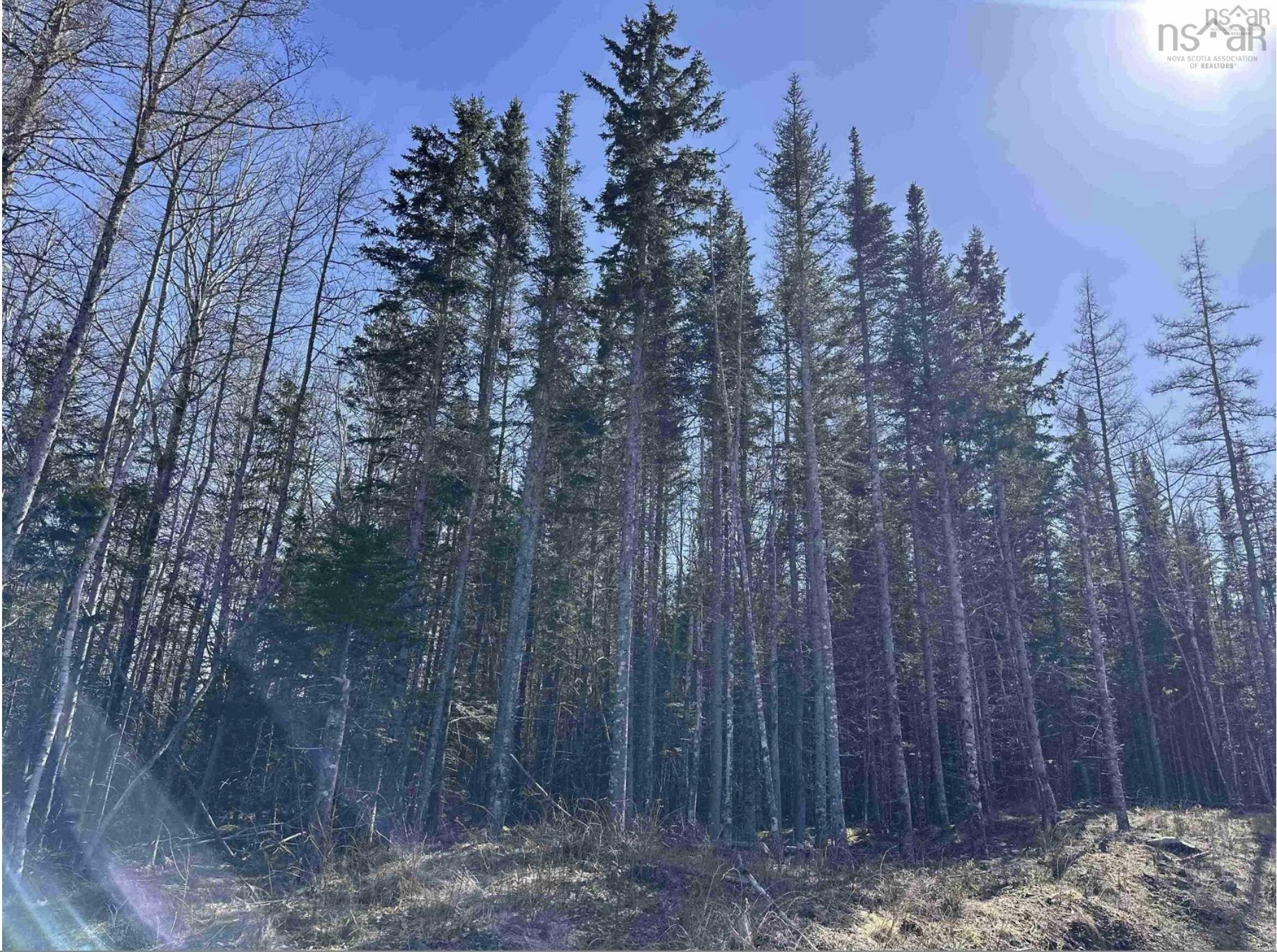 $87,500.00: Lot 16 - Lower River Road, Grantville