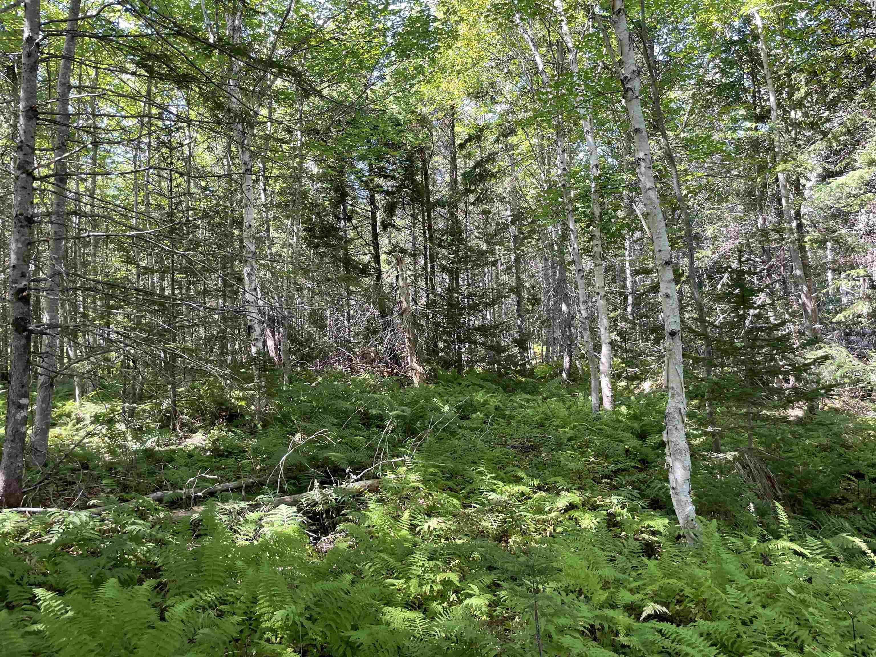 $90,000.00: Lot 1F 0 Marble Mountain Road, Big Harbour