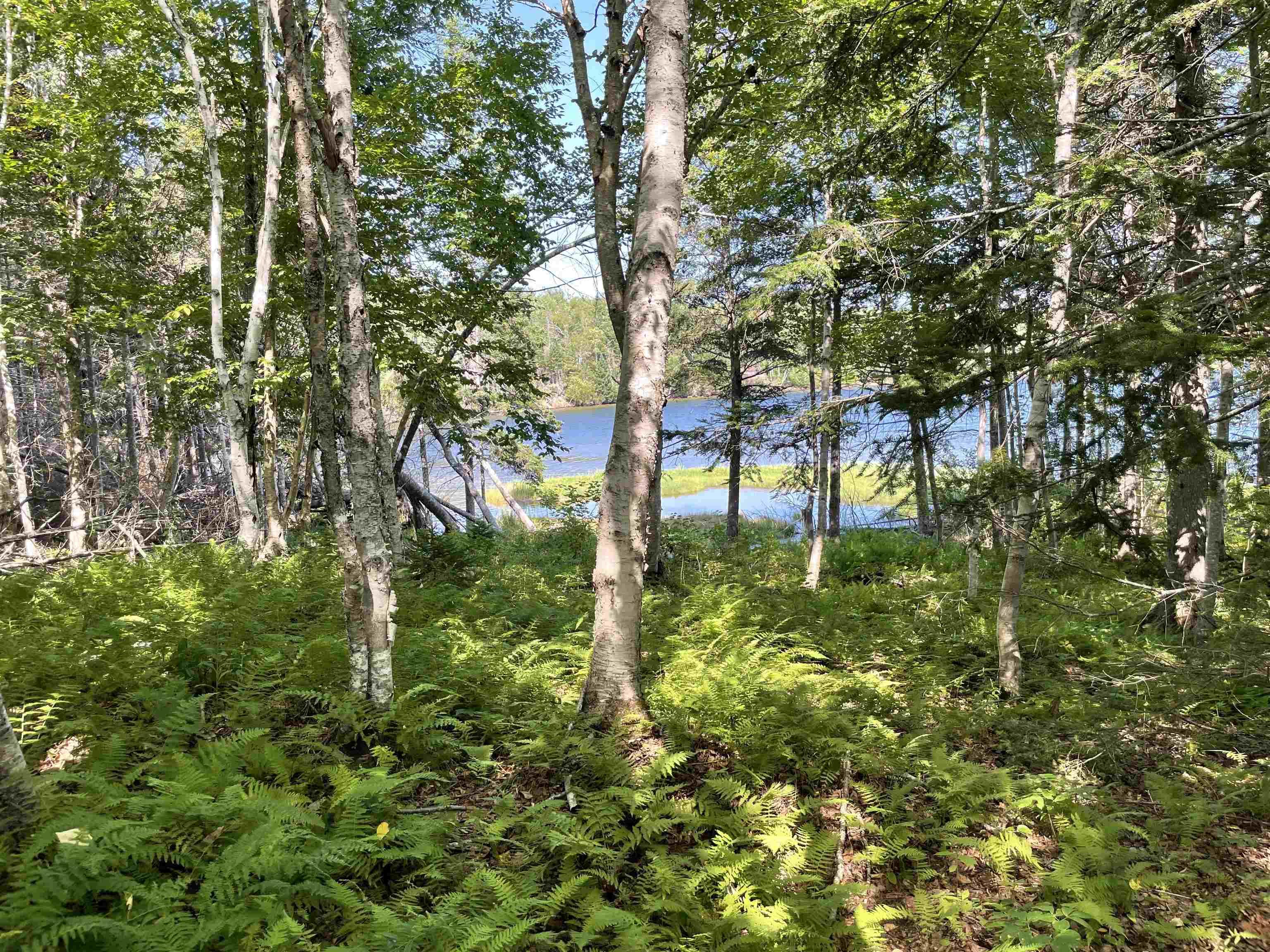 $90,000.00: Lot 1F 0 Marble Mountain Road, Big Harbour