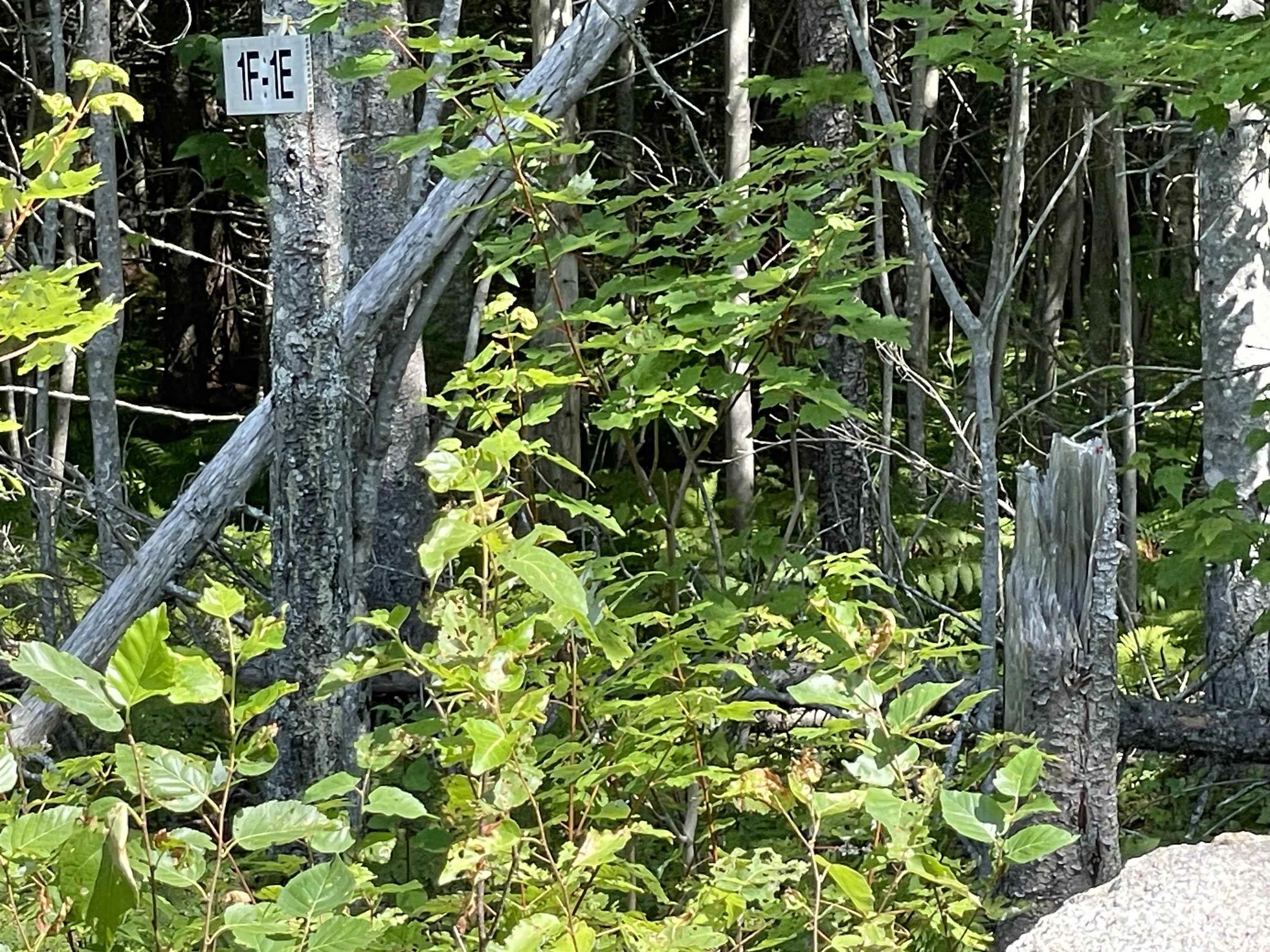 $90,000.00: Lot 1F 0 Marble Mountain Road, Big Harbour