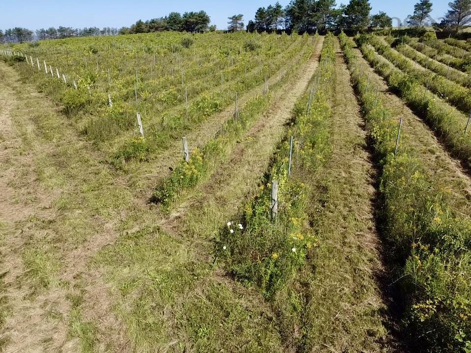 $279,900.00: 215 6055 Highway 215, Kempt Shore