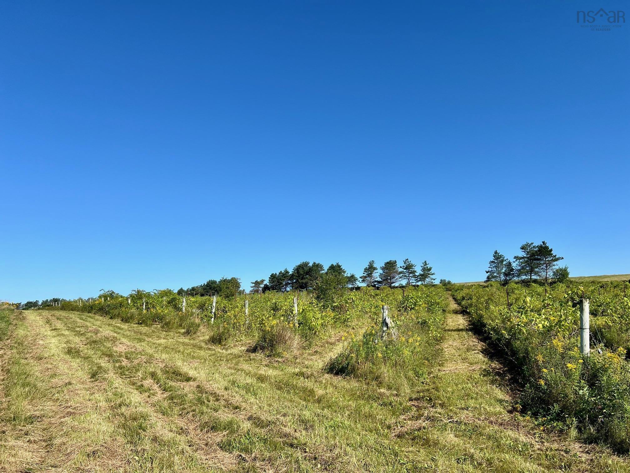 $279,900.00: 215 6055 Highway 215, Kempt Shore