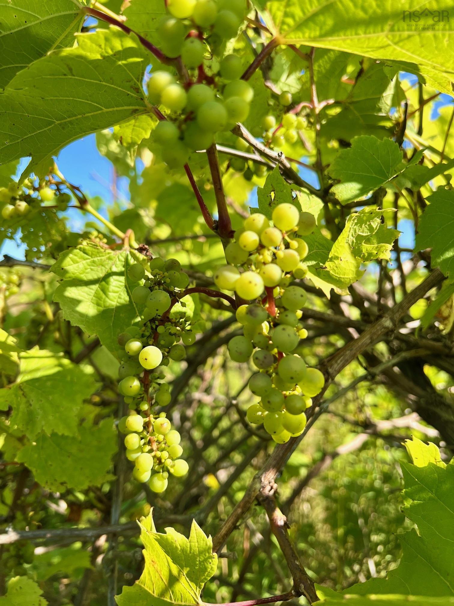 $279,900.00: 215 6055 Highway 215, Kempt Shore