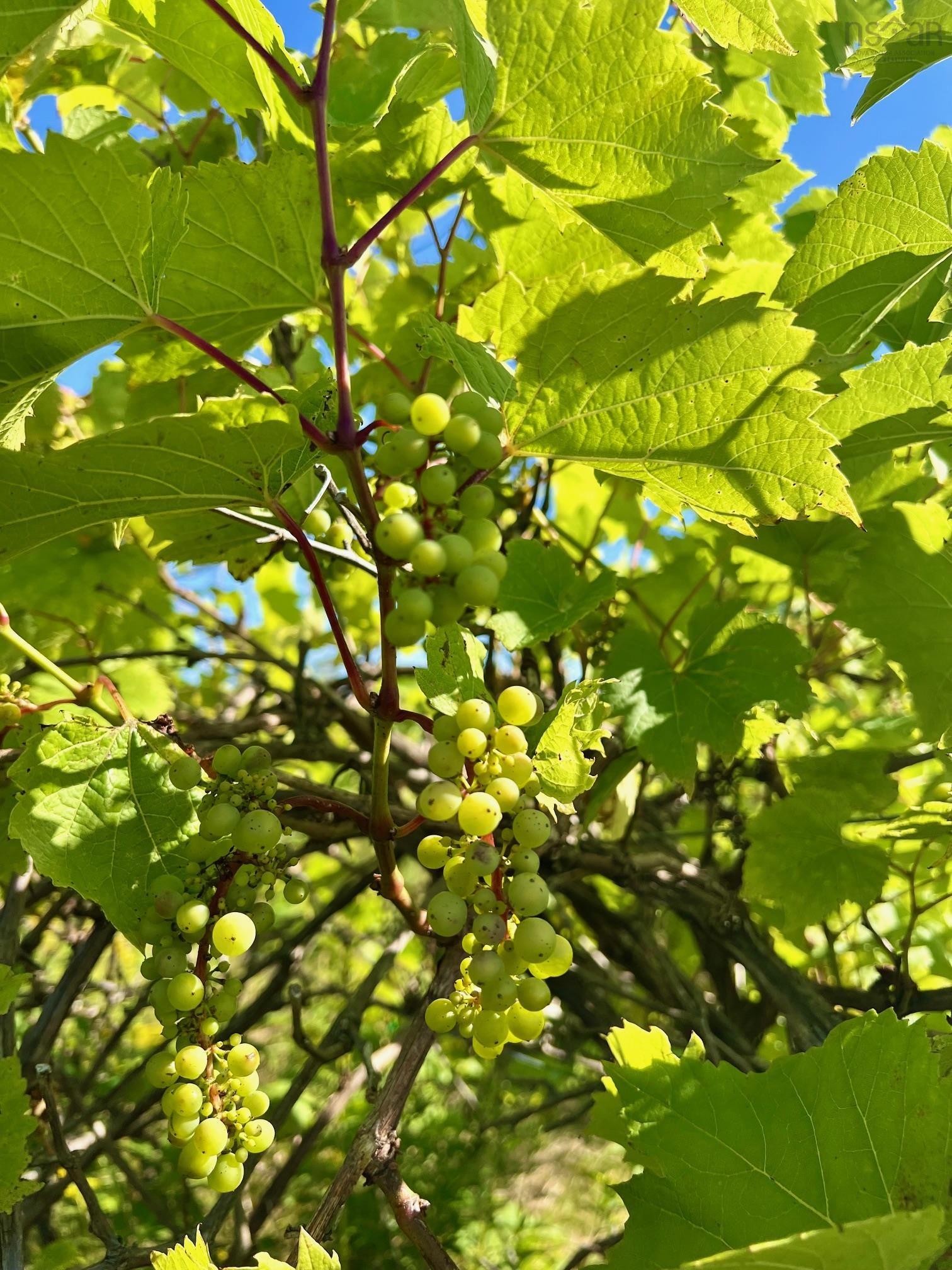 $279,900.00: 215 6055 Highway 215, Kempt Shore