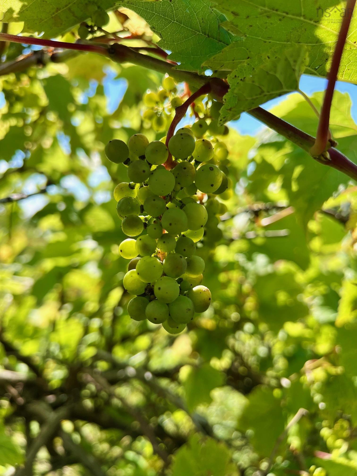 $279,900.00: 215 6055 Highway 215, Kempt Shore