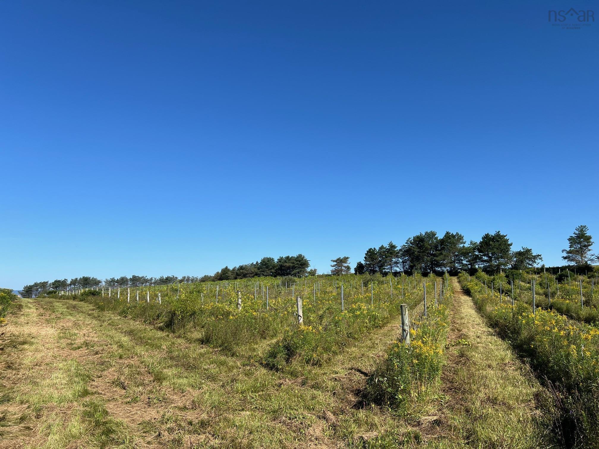 $279,900.00: 215 6055 Highway 215, Kempt Shore