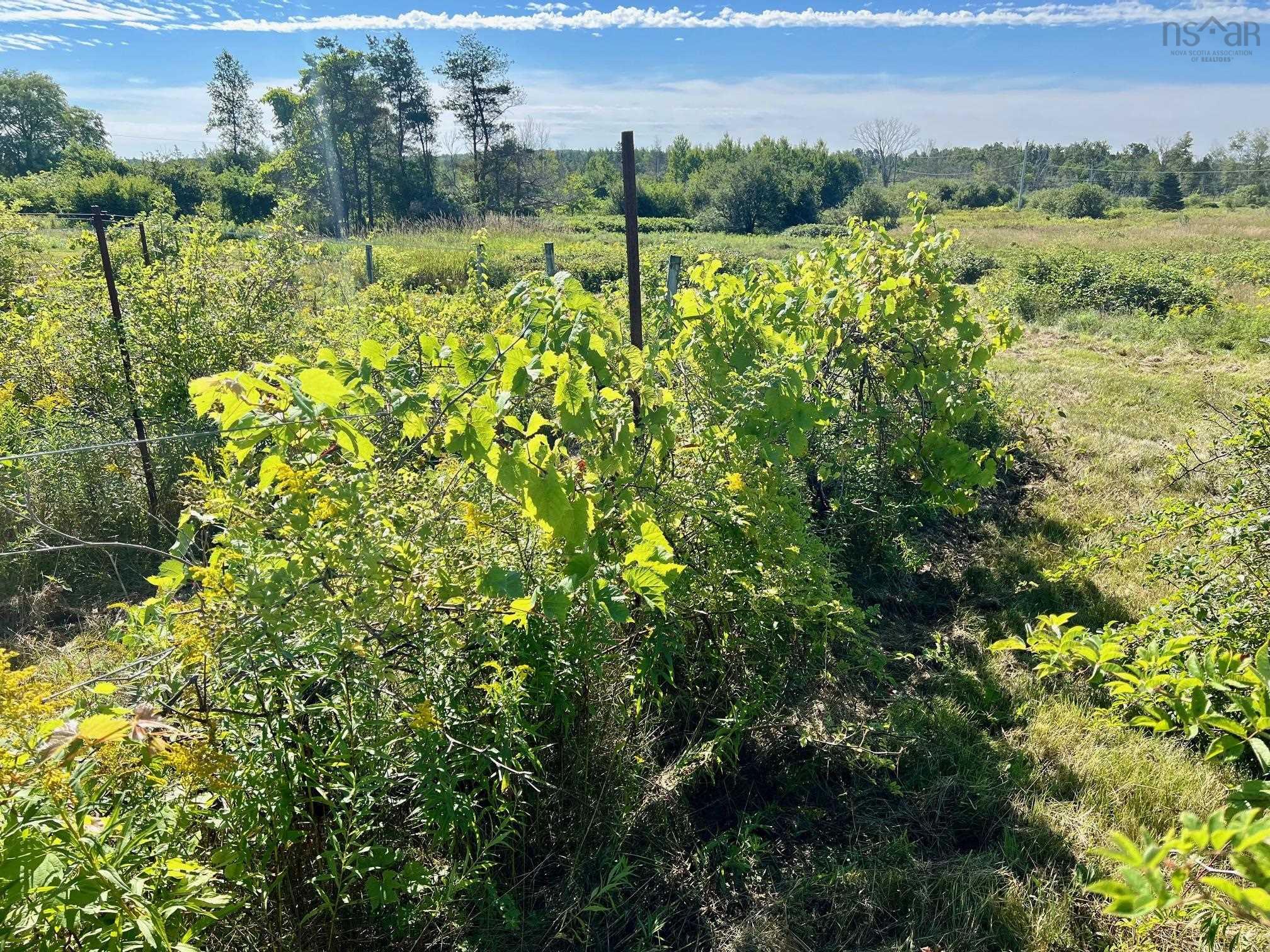 $279,900.00: 215 6055 Highway 215, Kempt Shore