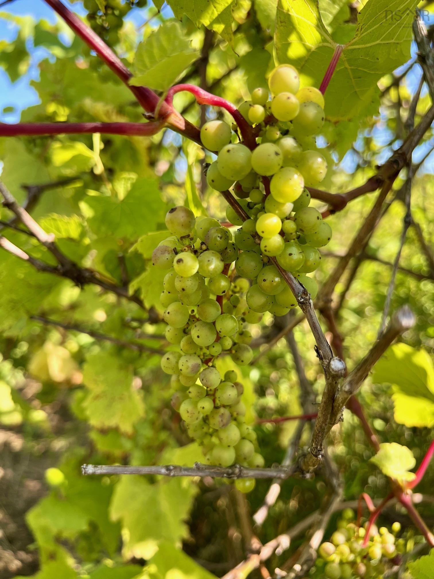 $279,900.00: 215 6055 Highway 215, Kempt Shore