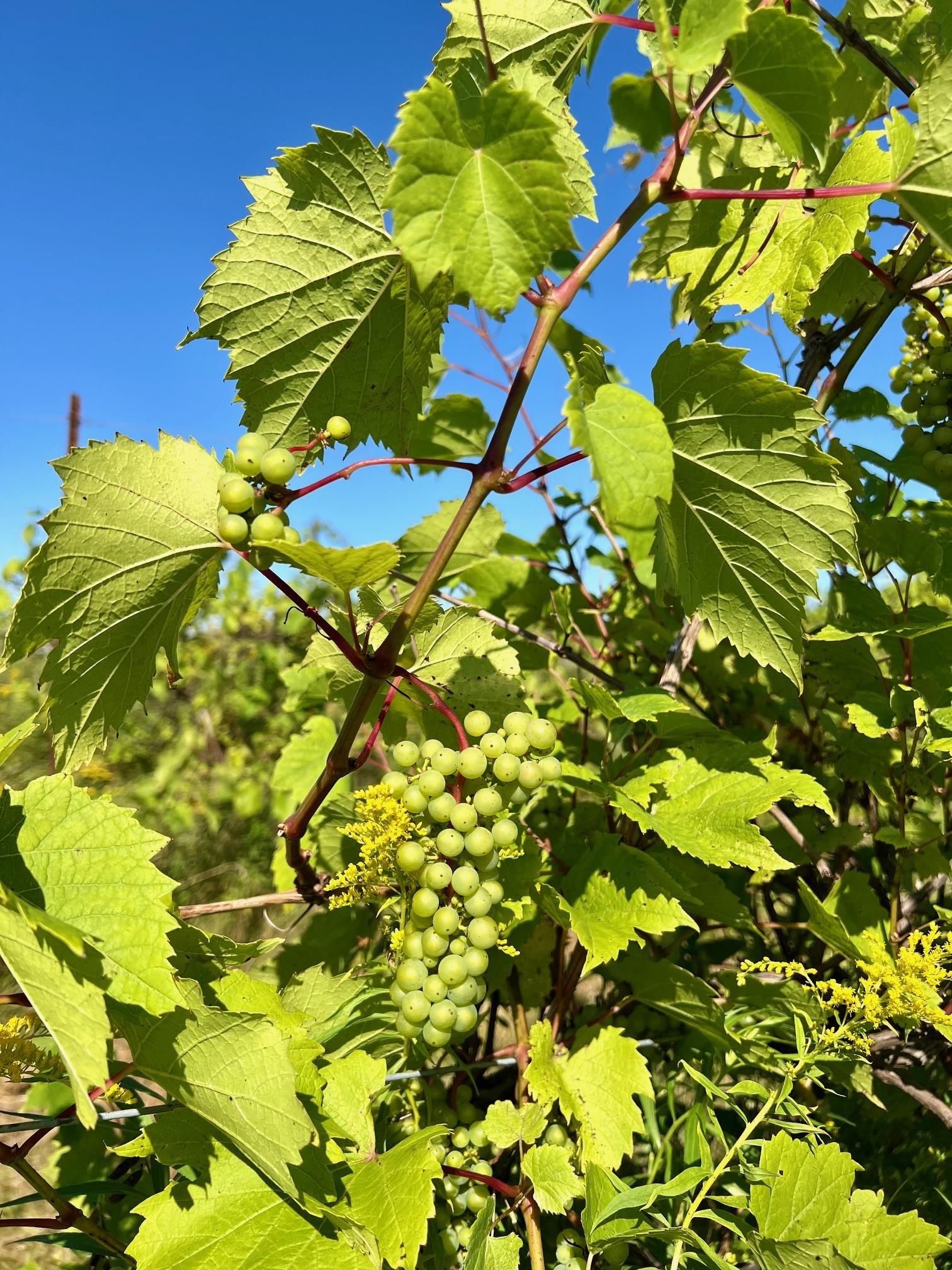 $279,900.00: 215 6055 Highway 215, Kempt Shore