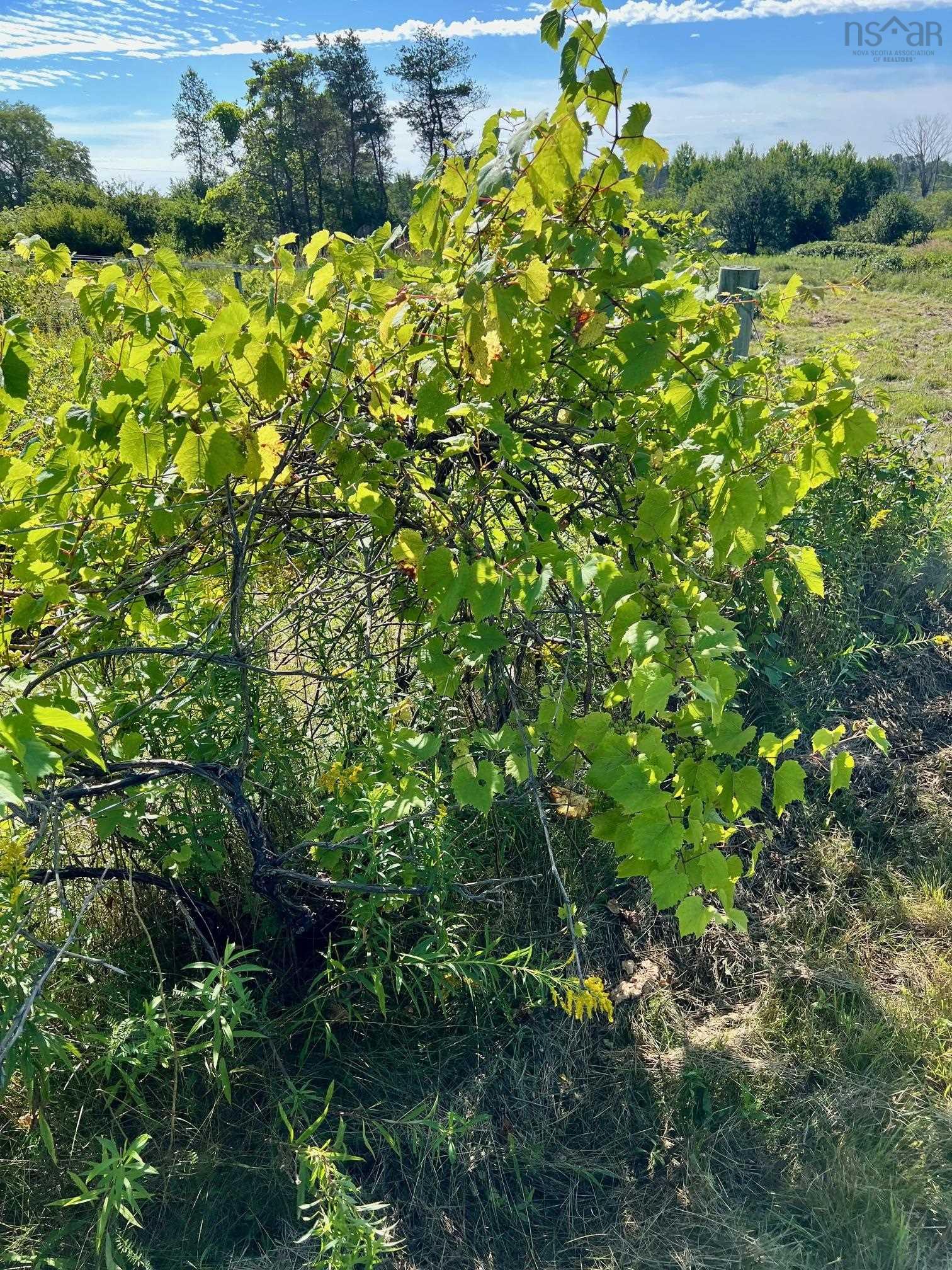 $279,900.00: 215 6055 Highway 215, Kempt Shore