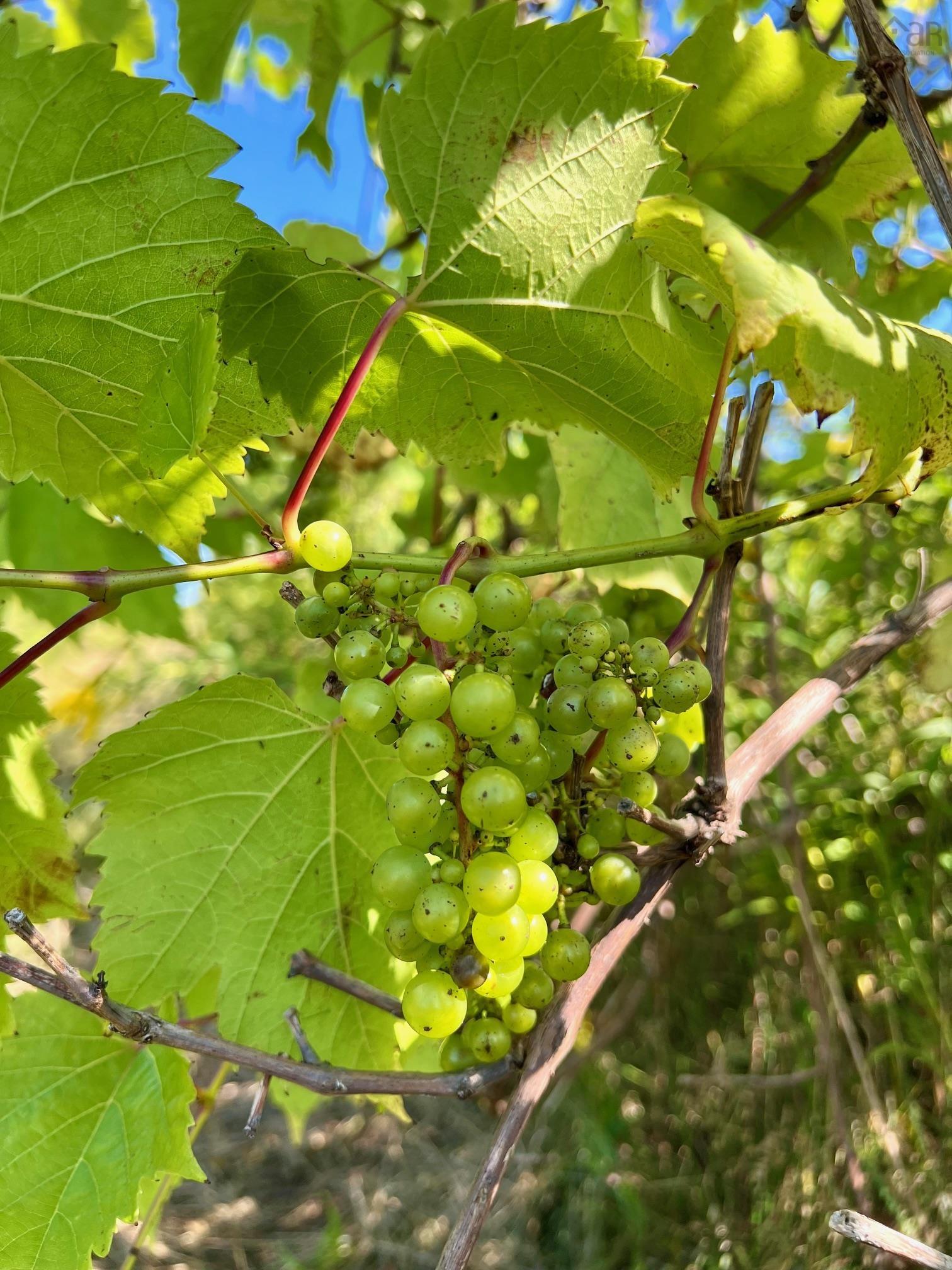 $279,900.00: 215 6055 Highway 215, Kempt Shore