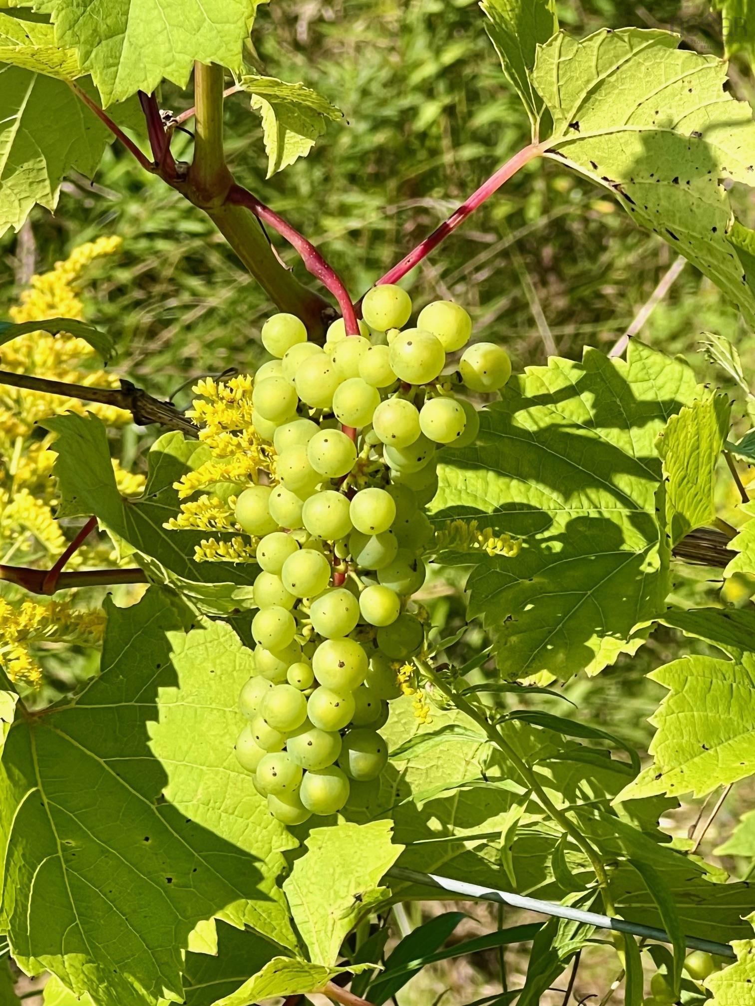 $279,900.00: 215 6055 Highway 215, Kempt Shore