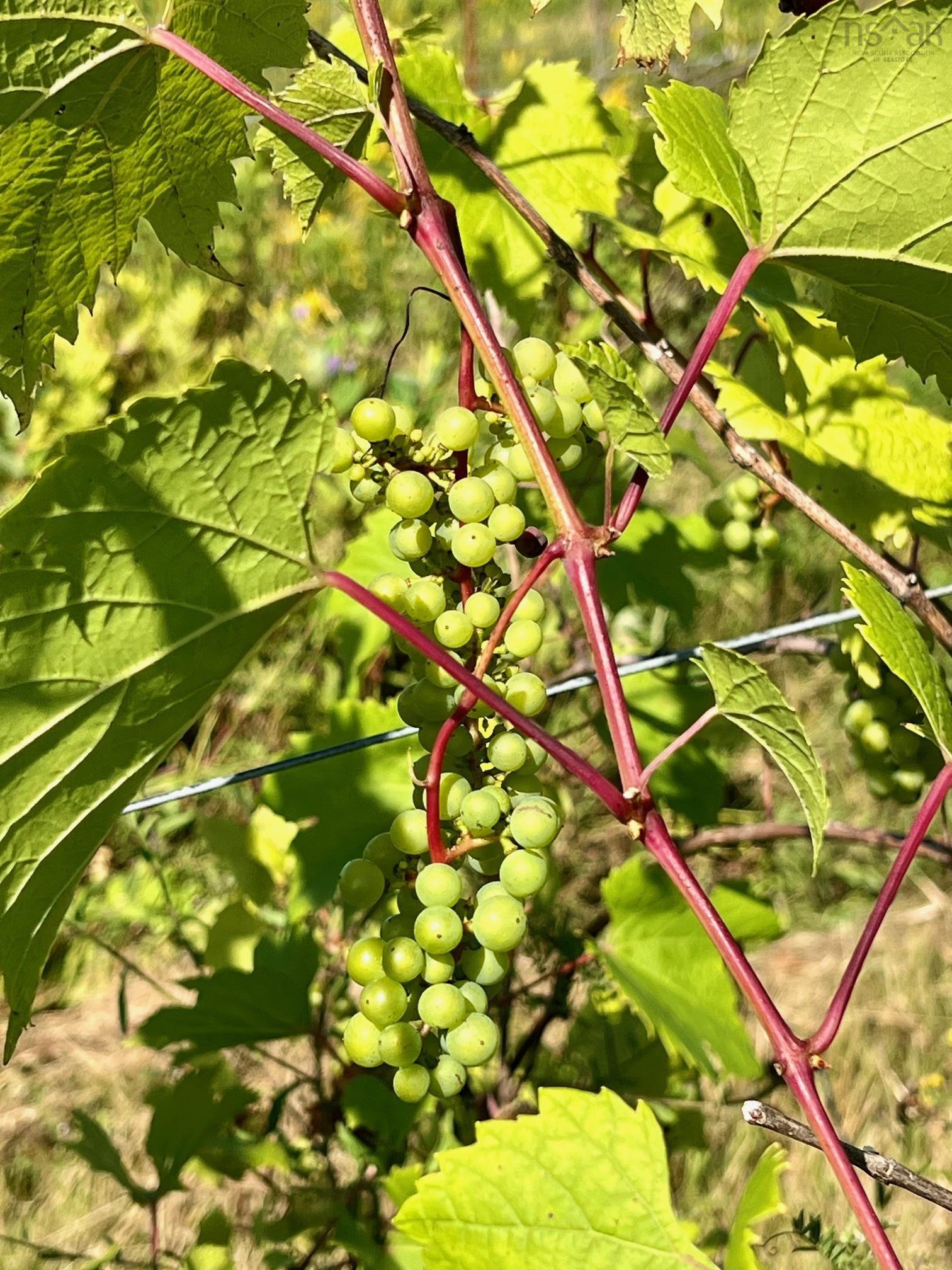 $279,900.00: 215 6055 Highway 215, Kempt Shore