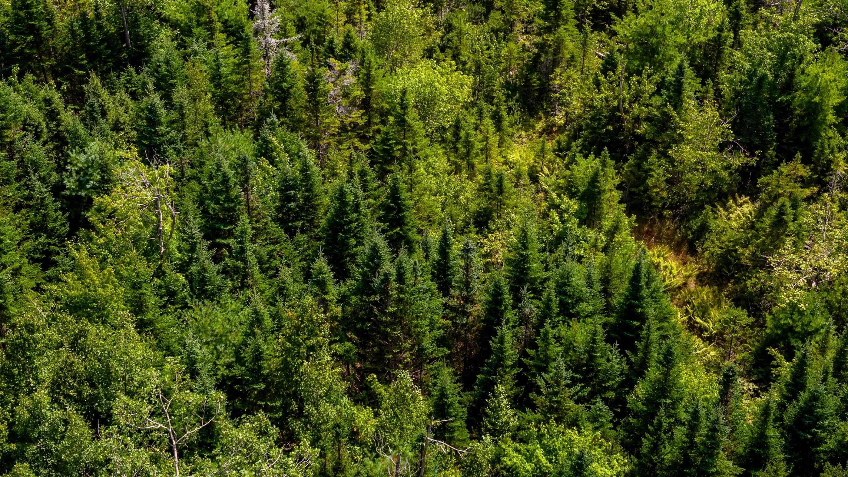 $45,000.00: Lot 2 Aylesford Road, Morristown