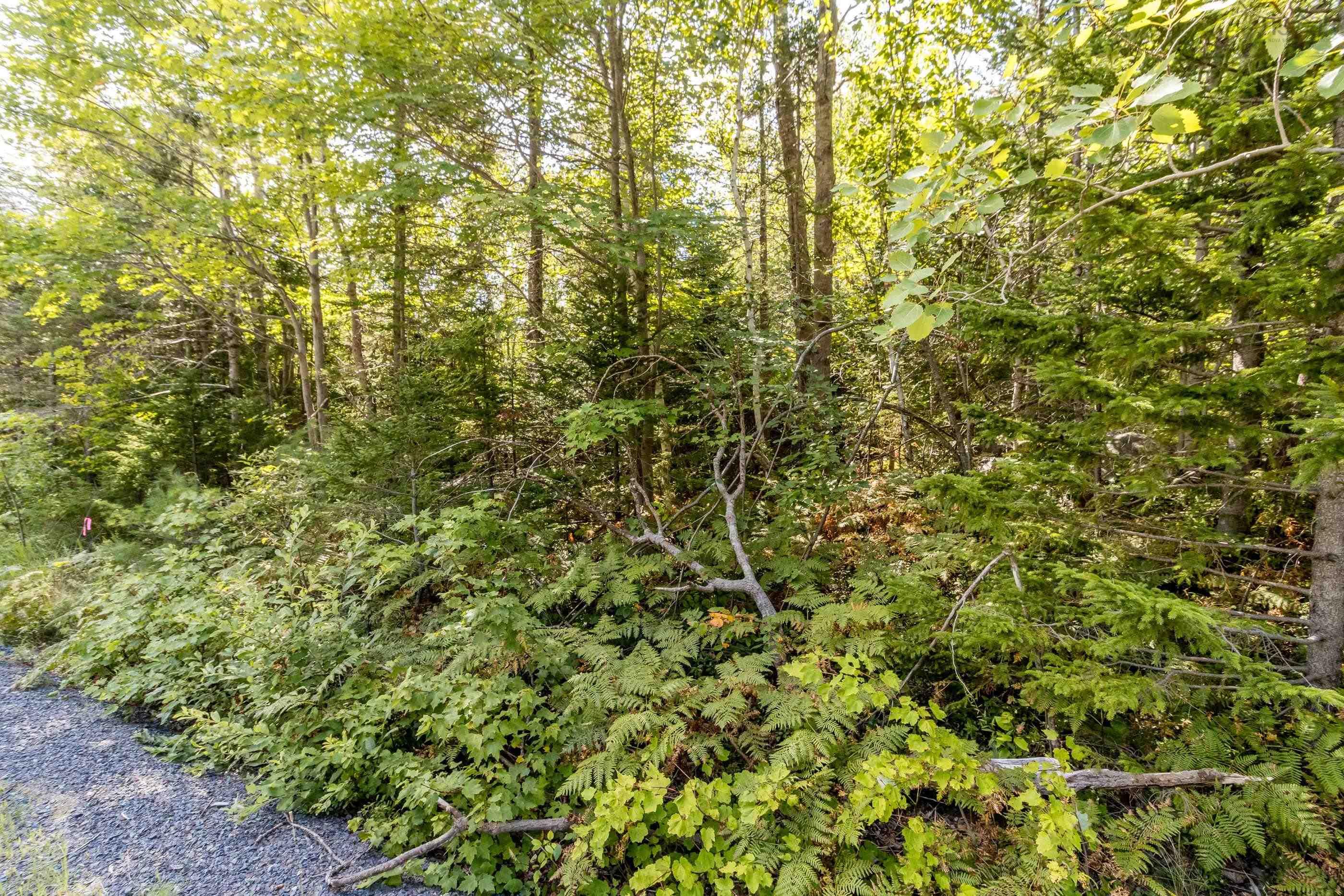 $45,000.00: Lot 3 Aylesford Road, Morristown