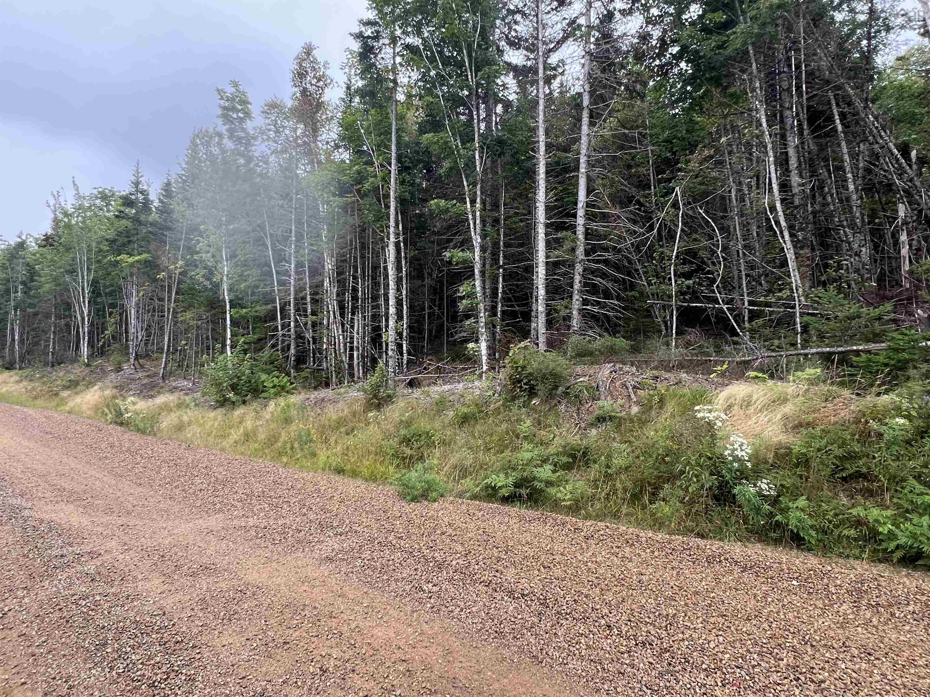 $150,000.00: Lot 6 Lochiel Lake Road, South Lochaber