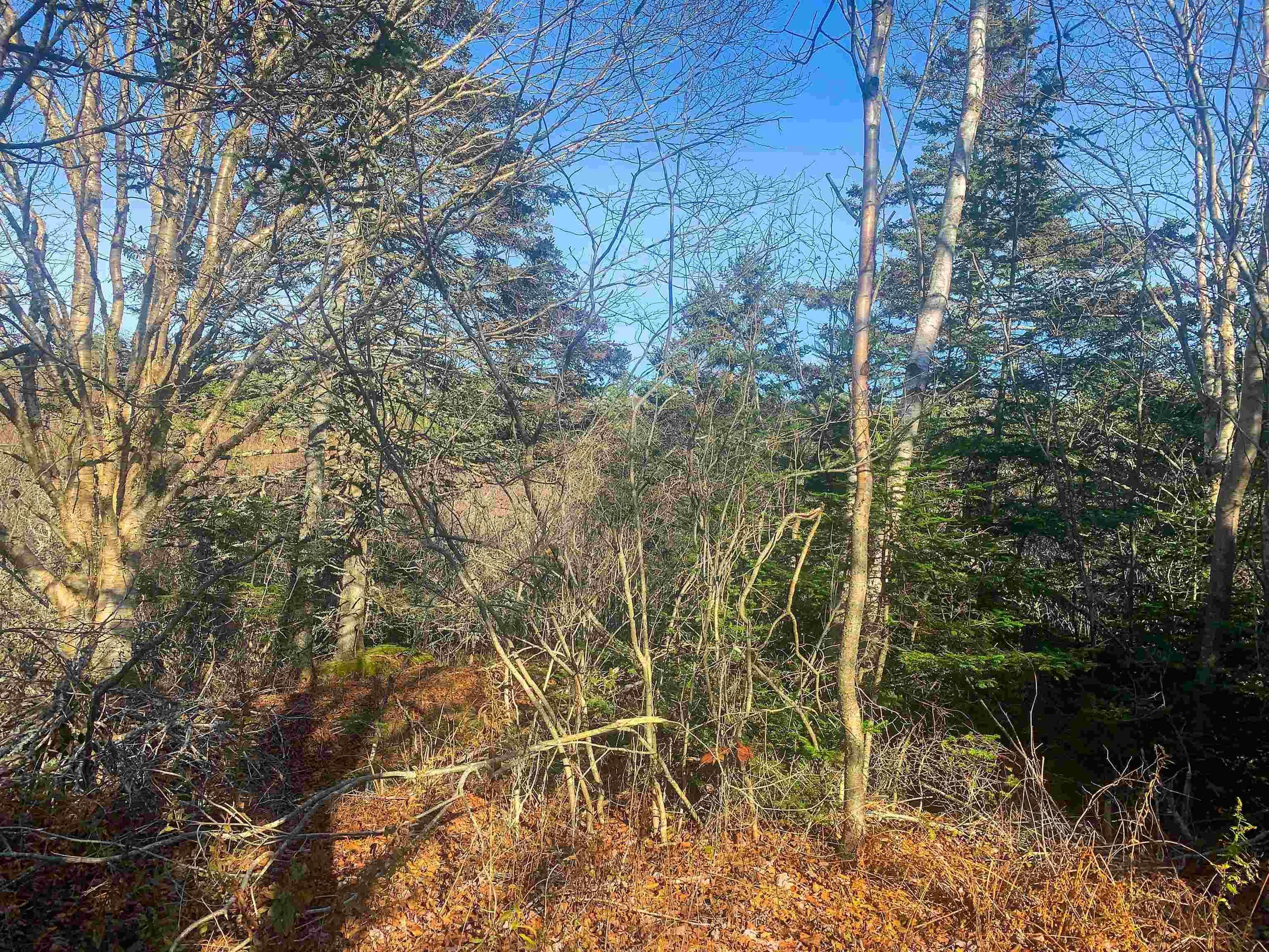 $35,000.00: Lot C. Boudreau Road, Mavillette