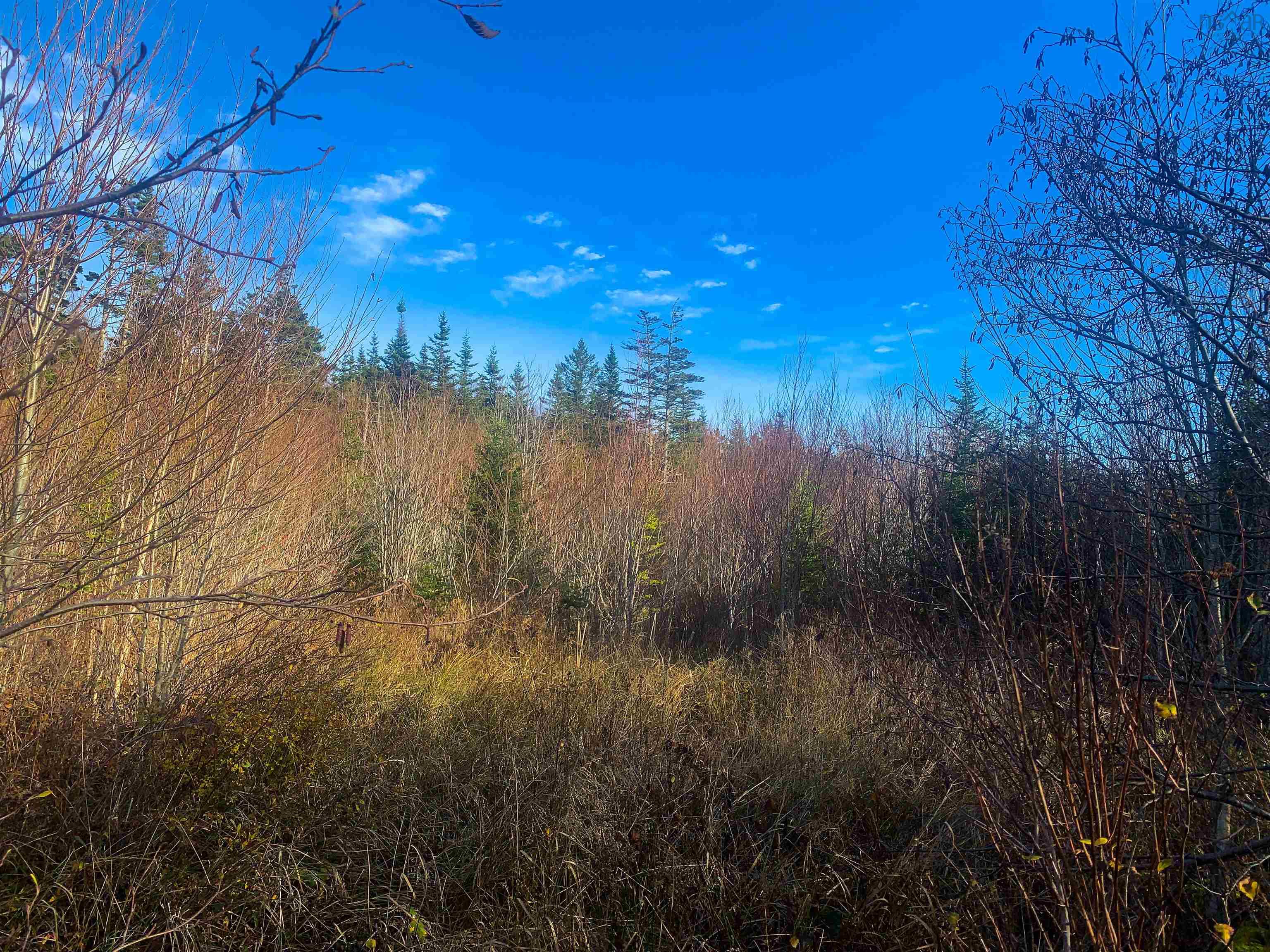 $35,000.00: Lot C. Boudreau Road, Mavillette