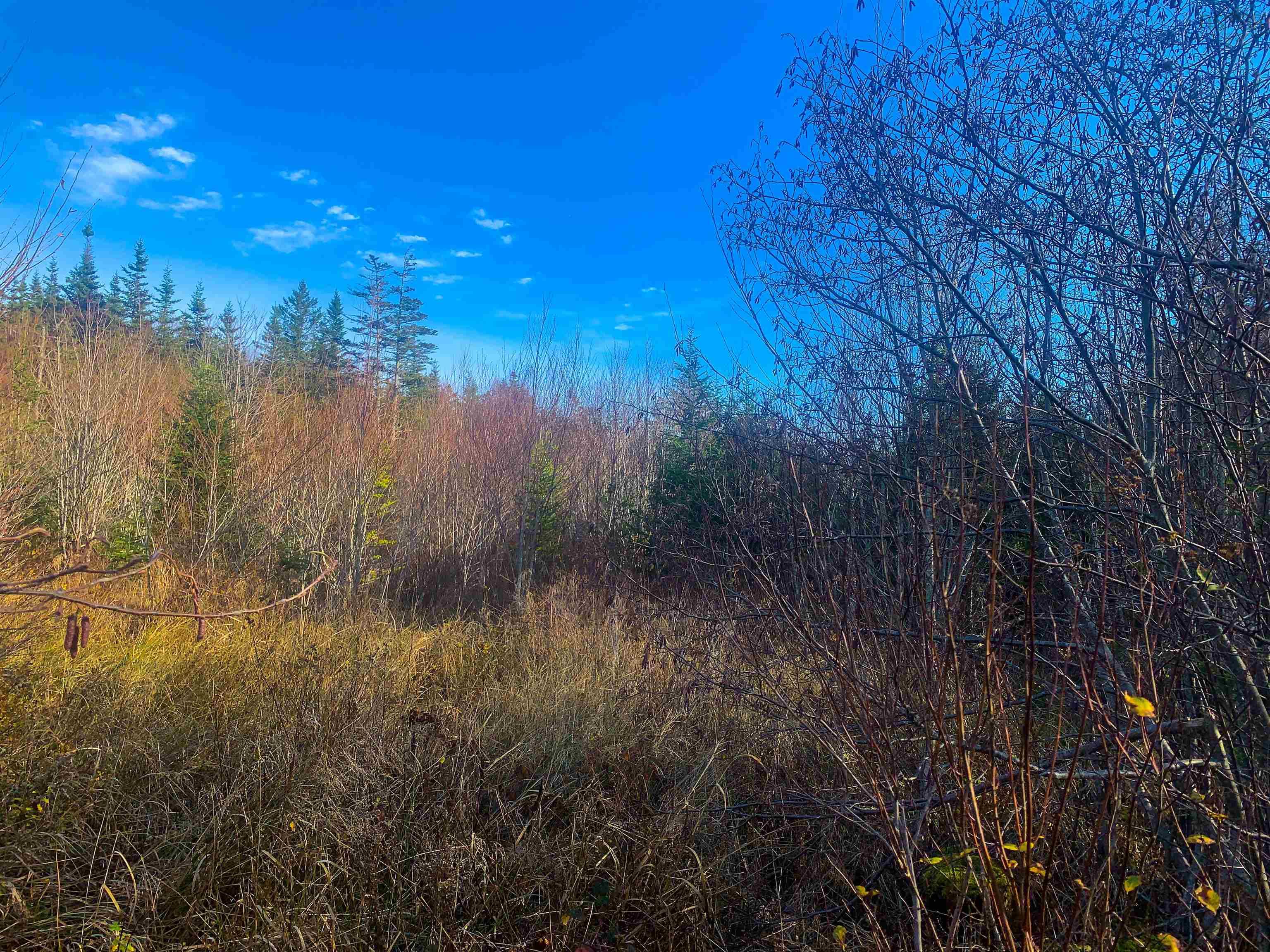 $35,000.00: Lot C. Boudreau Road, Mavillette