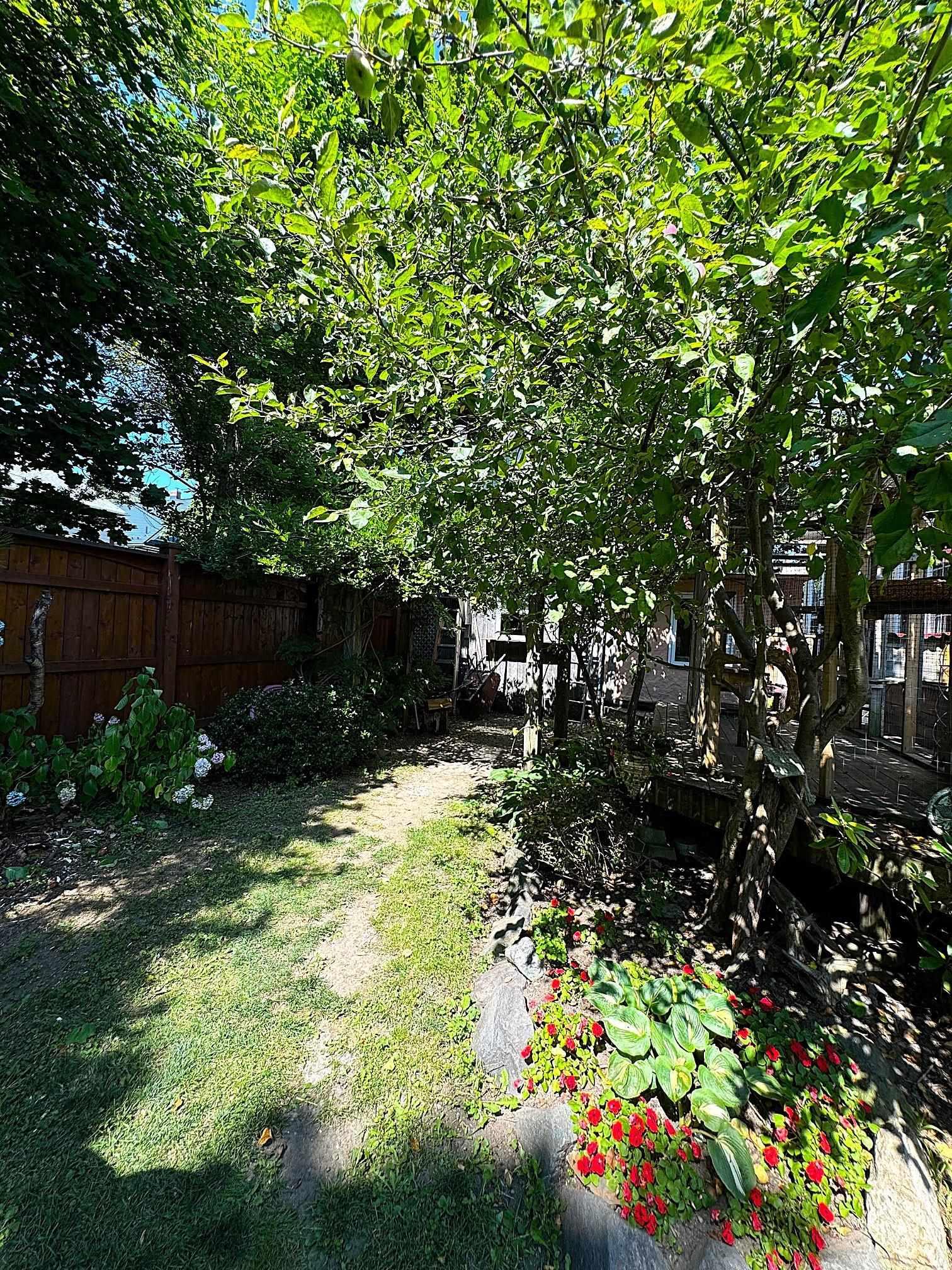 658 George Street 