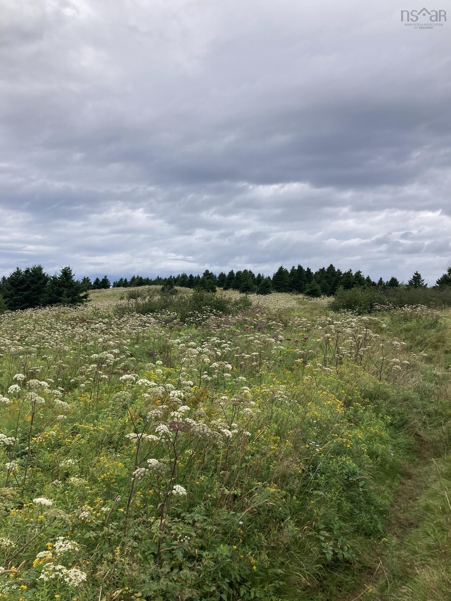 $17,000.00: Lot Off Highway 247, Lower L