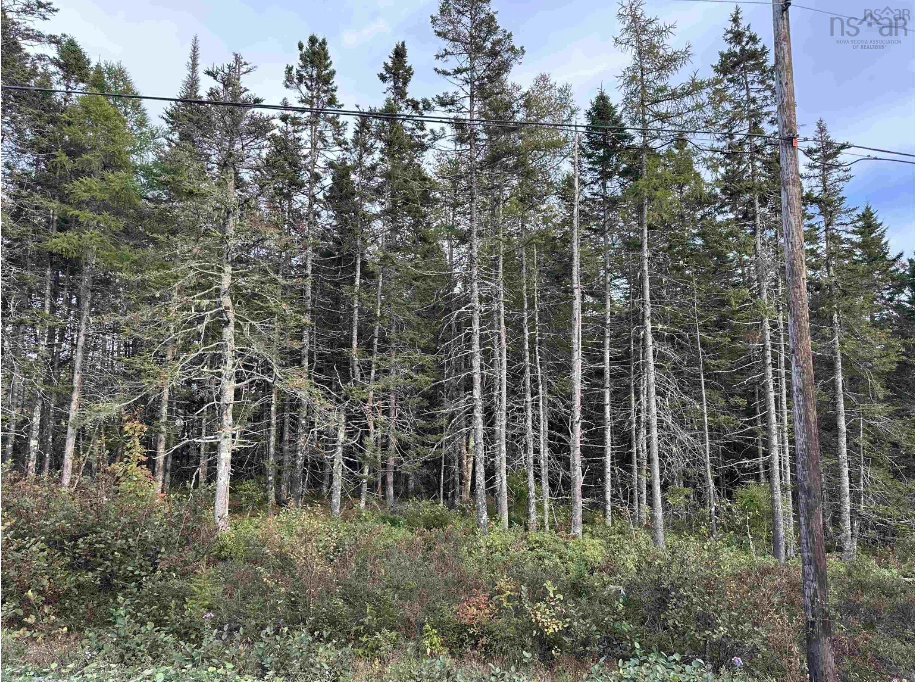 $45,000.00: Point View Road, Louisdale